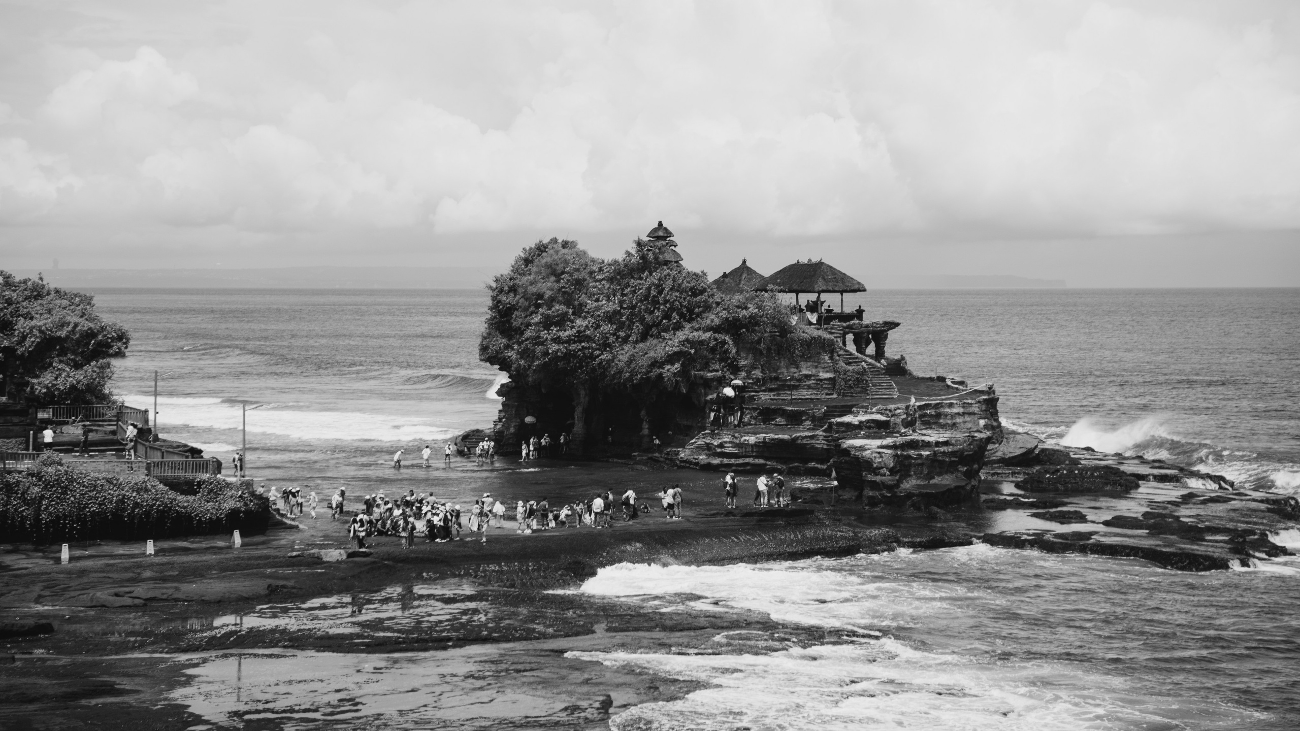 Roaming. Mike Avelli