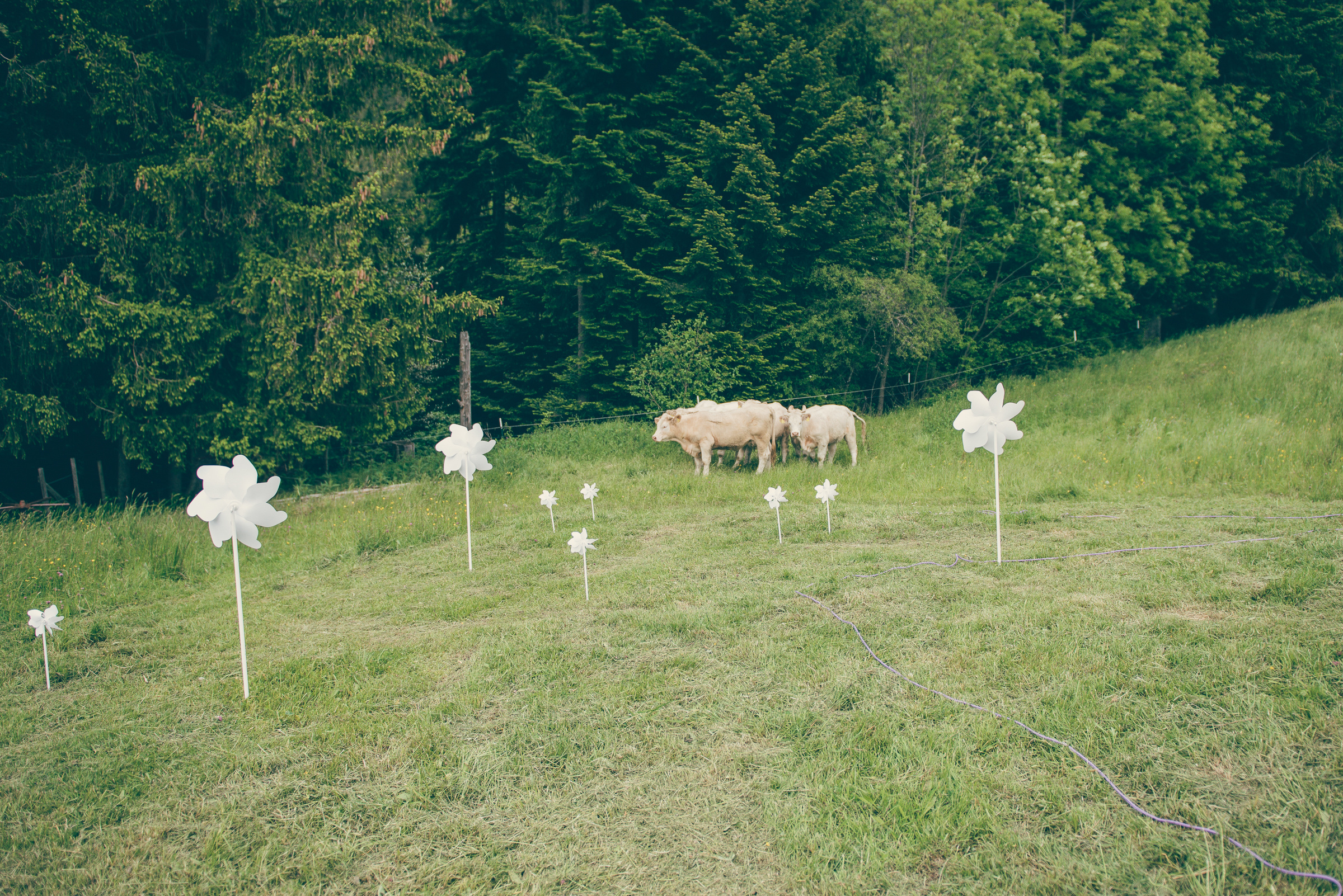 Wunderschöne Hochzeit mit freier Trauung am Schliersee. Hochzeitsfotograf München - Olga Boyko Hochzeitsreportage