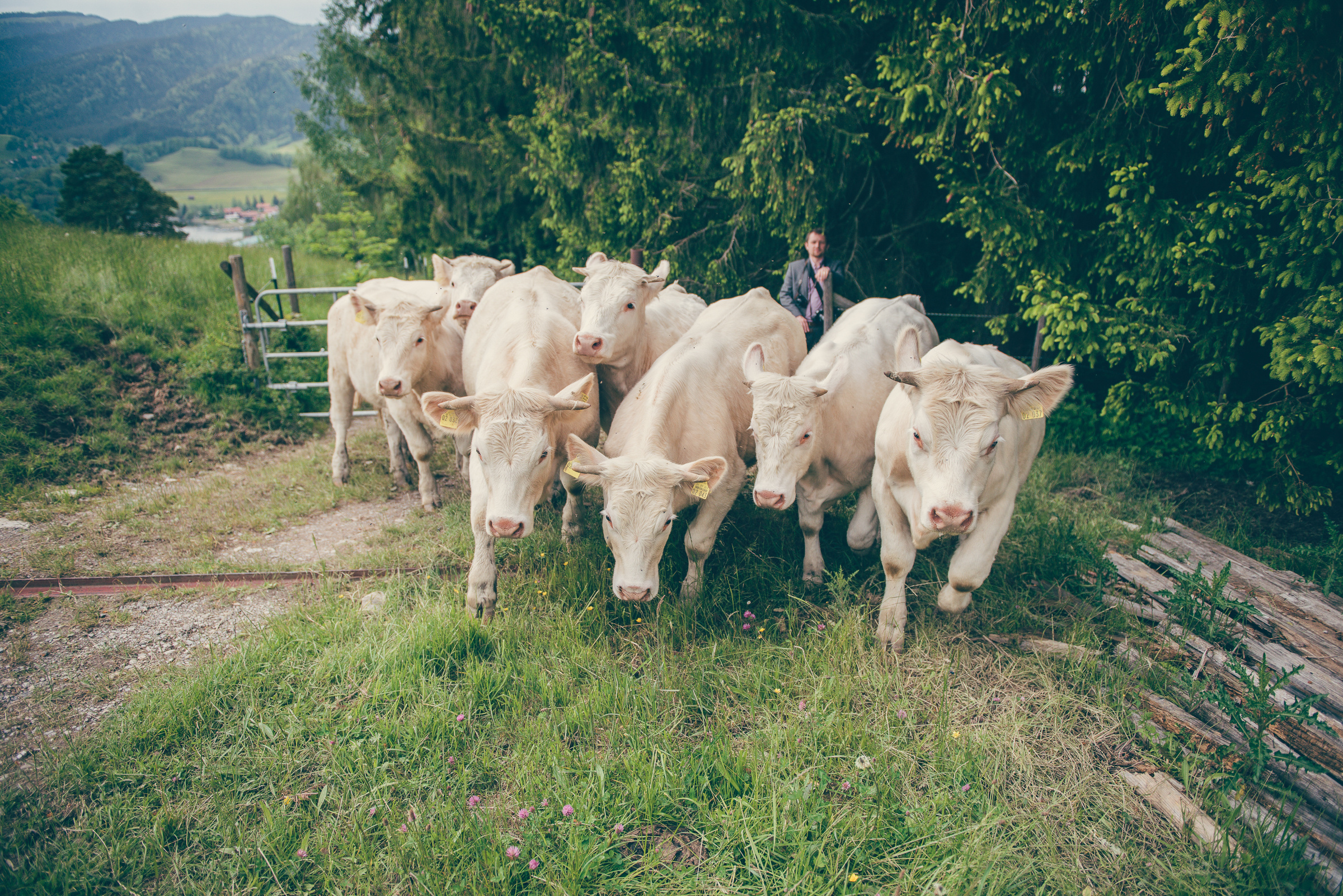 Wunderschöne Hochzeit mit freier Trauung am Schliersee. Hochzeitsfotograf München - Olga Boyko Hochzeitsreportage