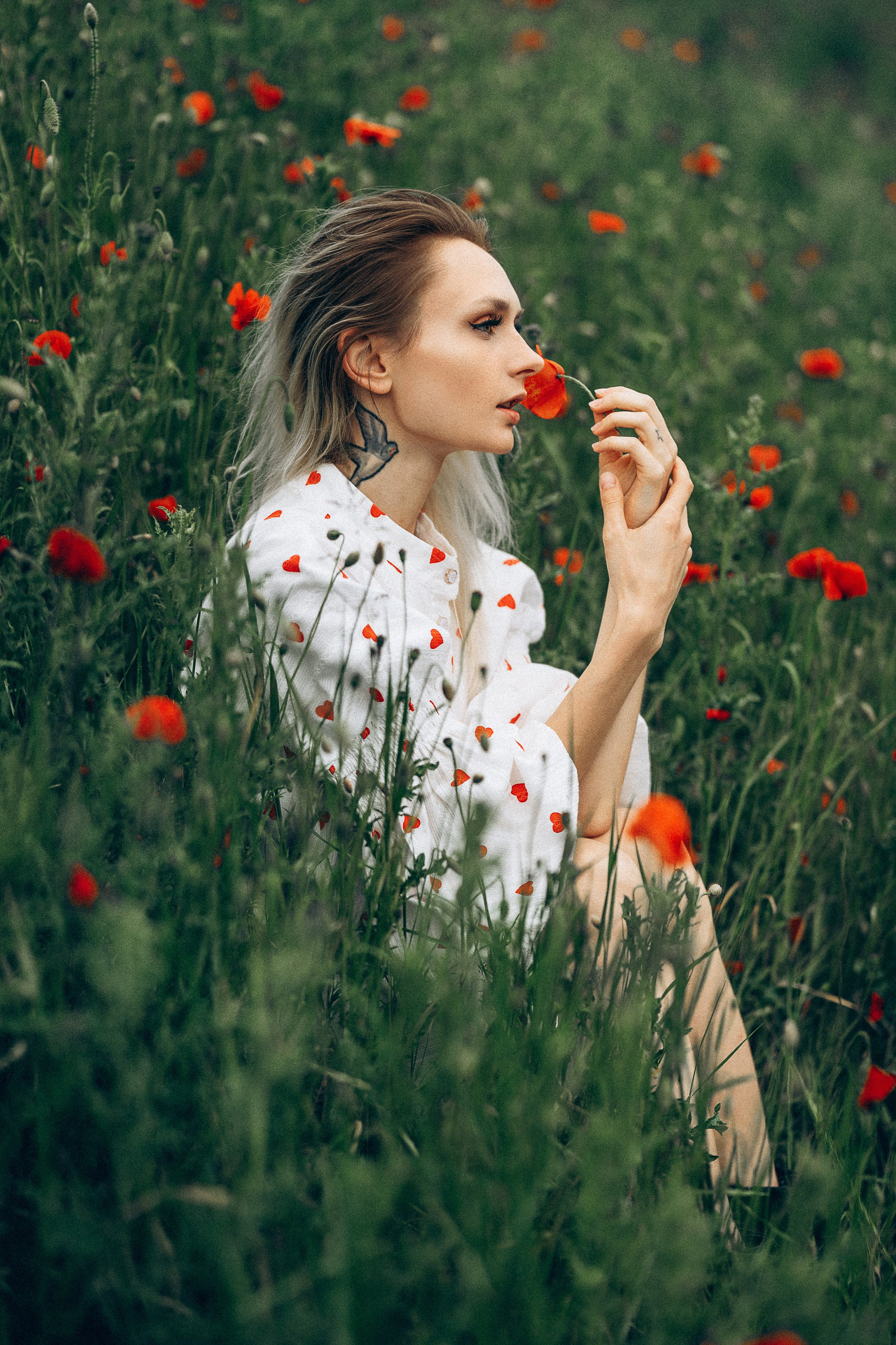 Mohnblumen. Pusteblumen. Familien, Lifestyle und Portrait Fotografin in Trier, Luxembourg