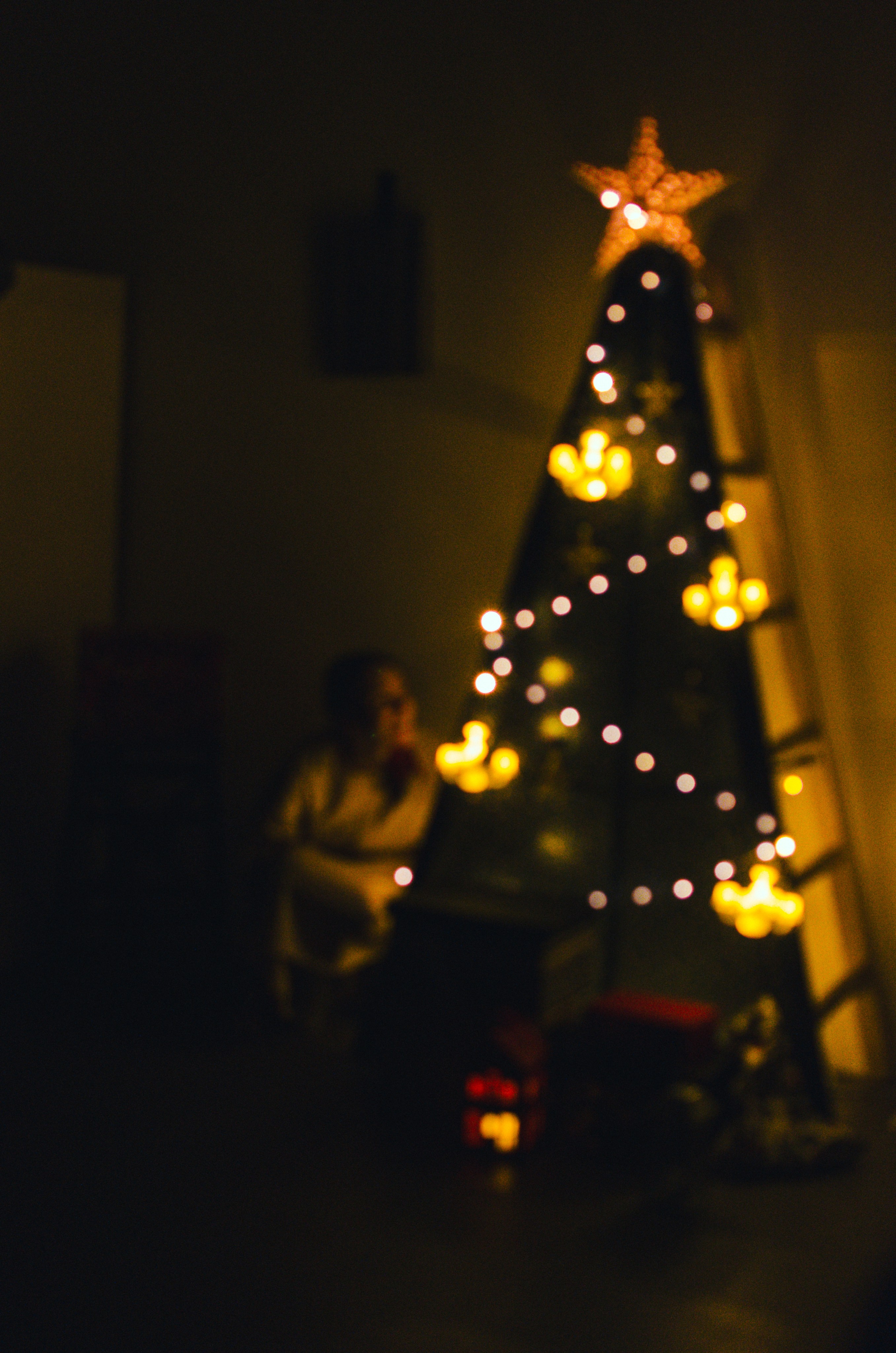 Performance «The Nutcracker». Event photographer Alena Iurchenko