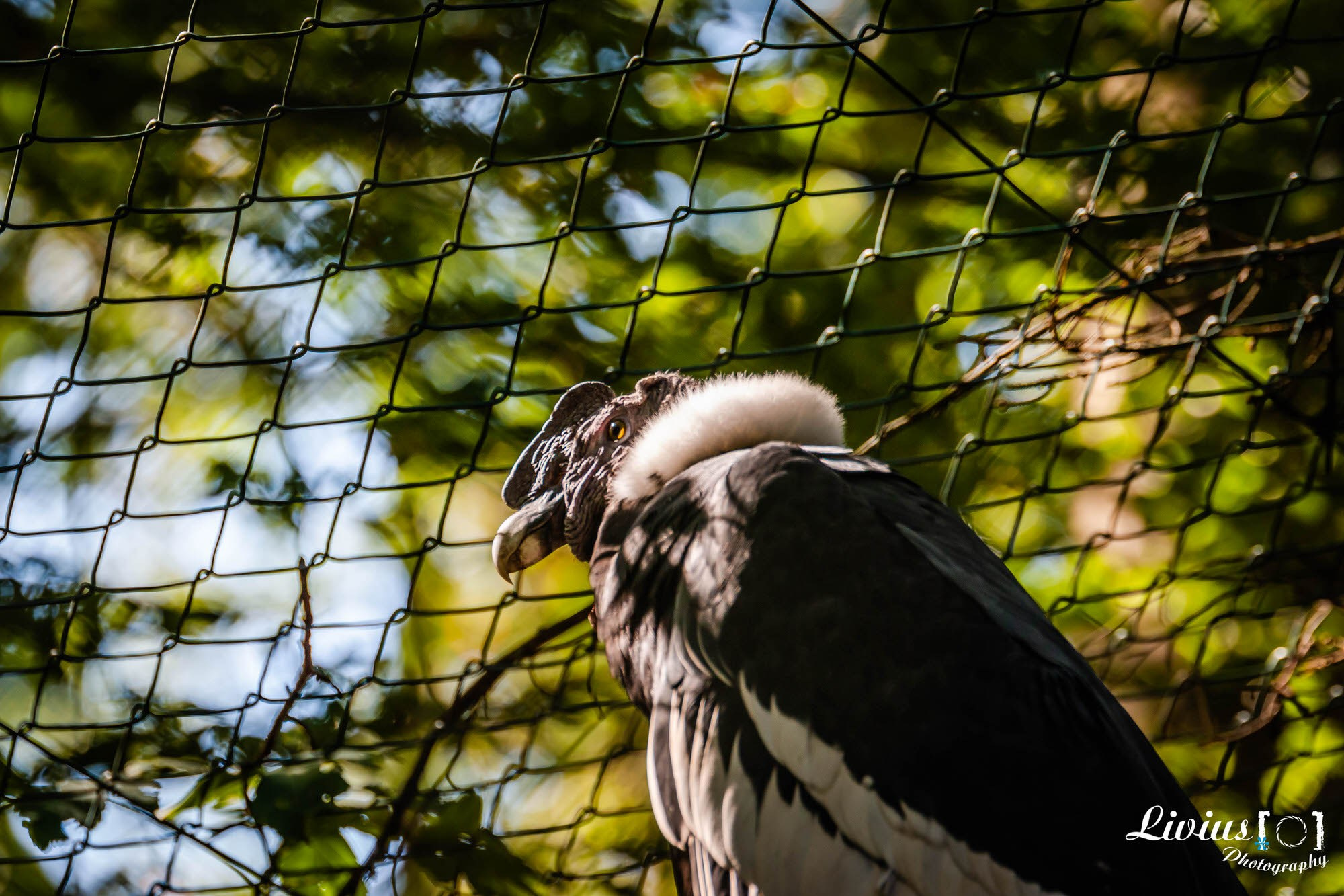 Tierpark Nürnberg. FOTO KREATIV