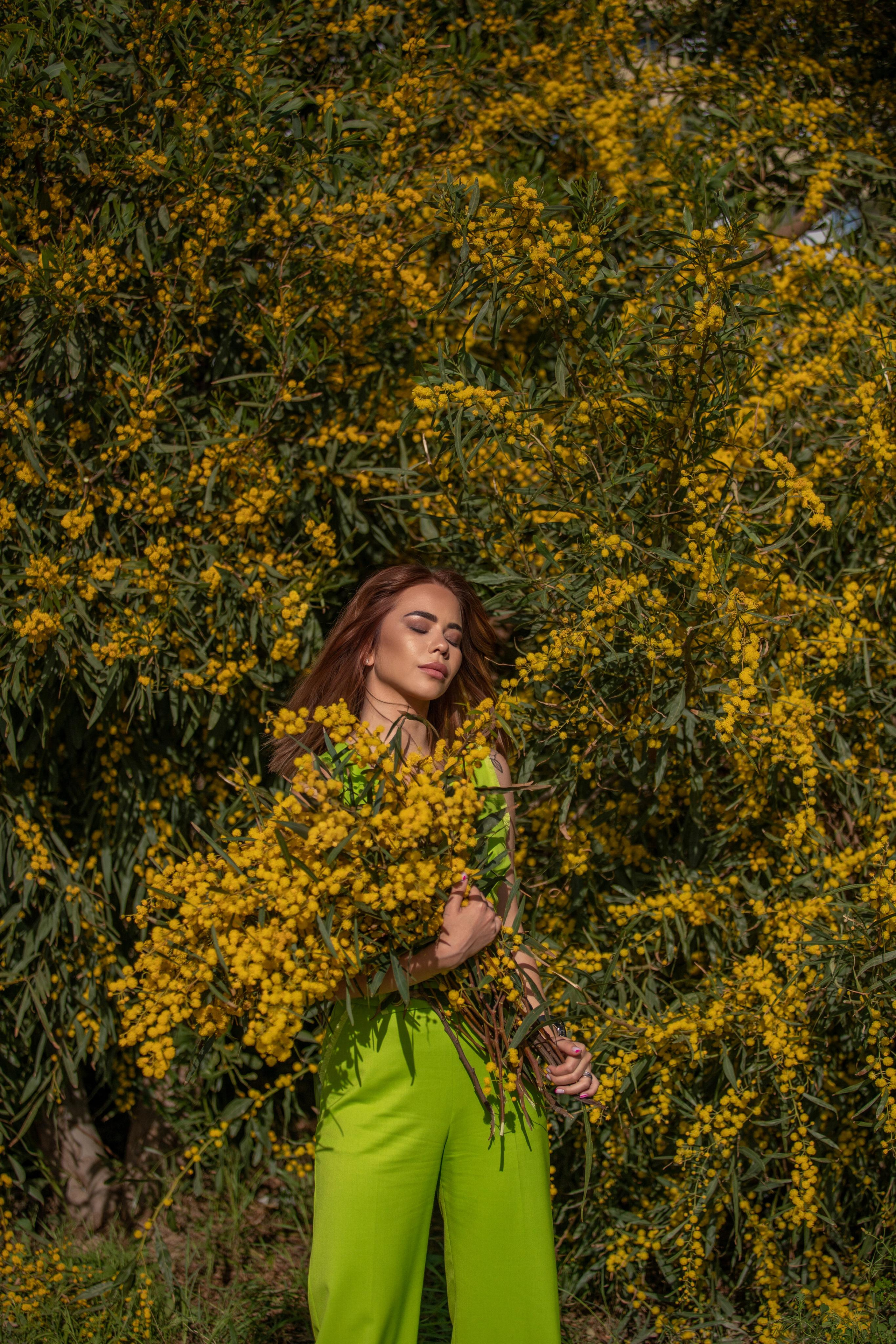 Мимоза. Фотограф в Турции | Алания, Сиде, Белек, Анталия, Кемер)