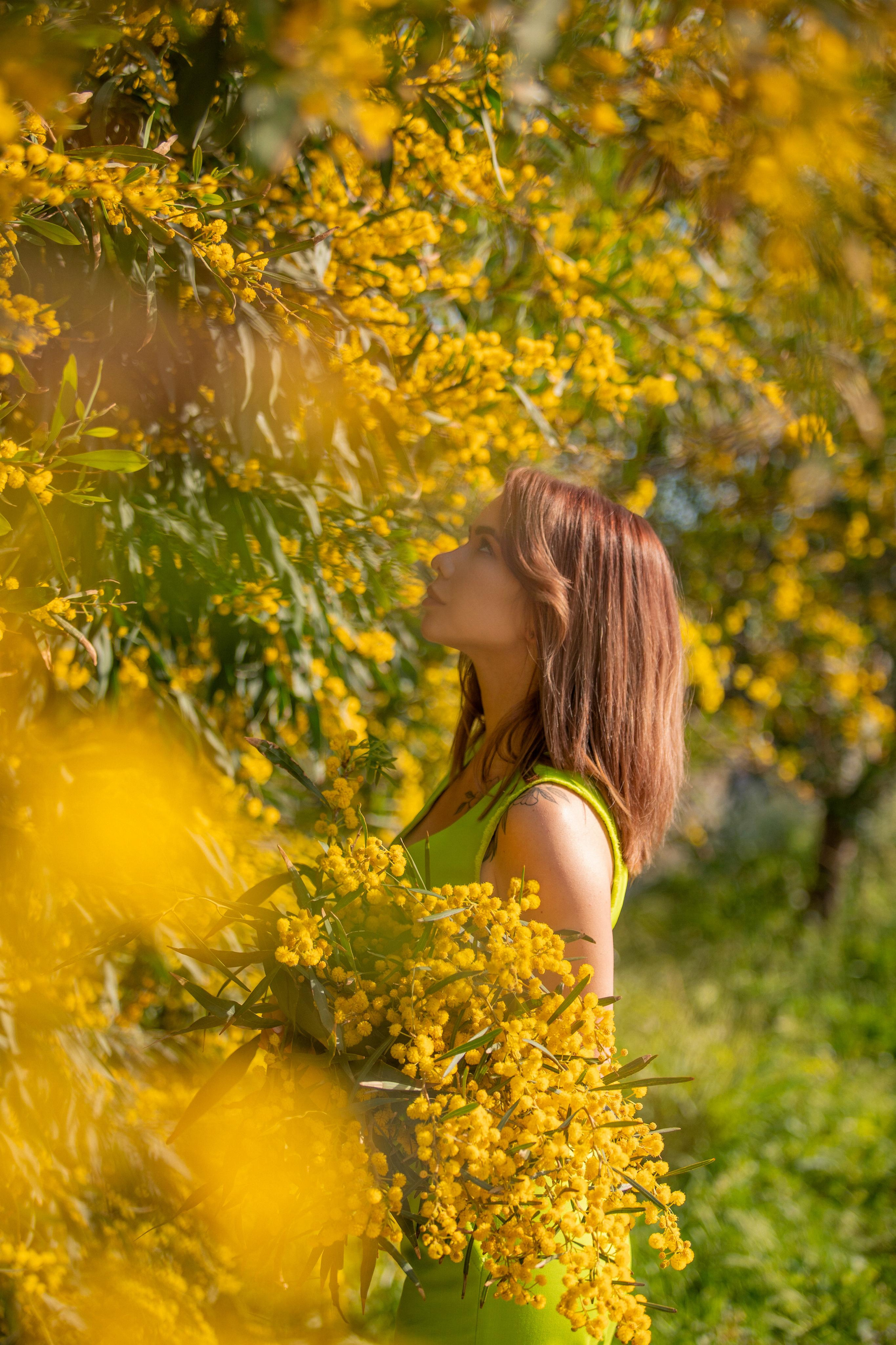 Мимоза. Фотограф в Турции | Алания, Сиде, Белек, Анталия, Кемер)