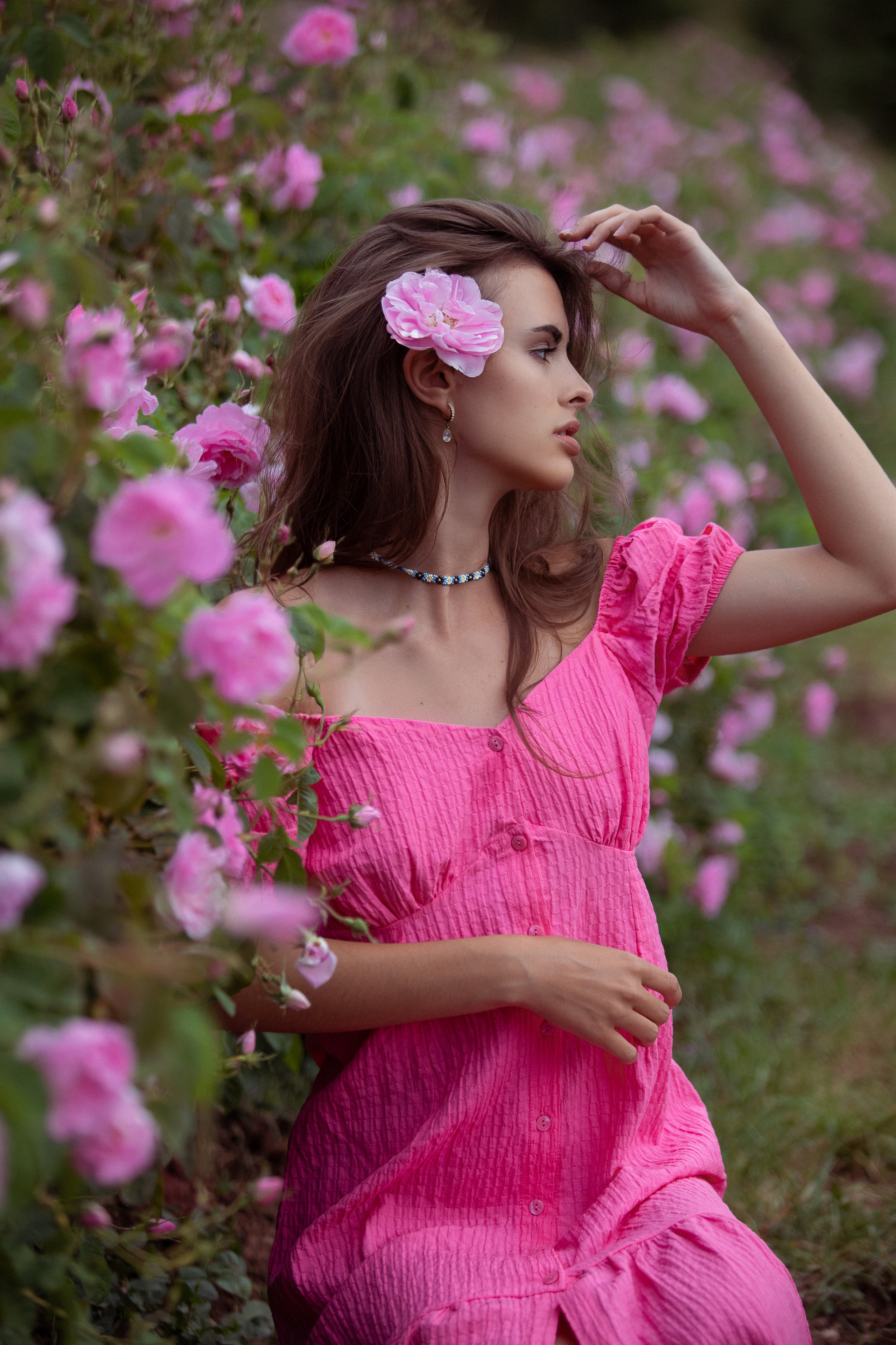 Розовы поля в Турции. Цветочные поля в Турции. Где в Турции выращивают розы? Когда цветут розы? Розовые сады в Ыспарте. Экскурсия на розовые поля. Фотограф в Анталии. Фотограф в Турции. Фотограф в Белеке. Фотограф в Алании. Фотограф Аланья. Фотограф Анталья. Фотограф Белек. Фотограф Турция. Фотограф Каш. Фотограф Бодрум.