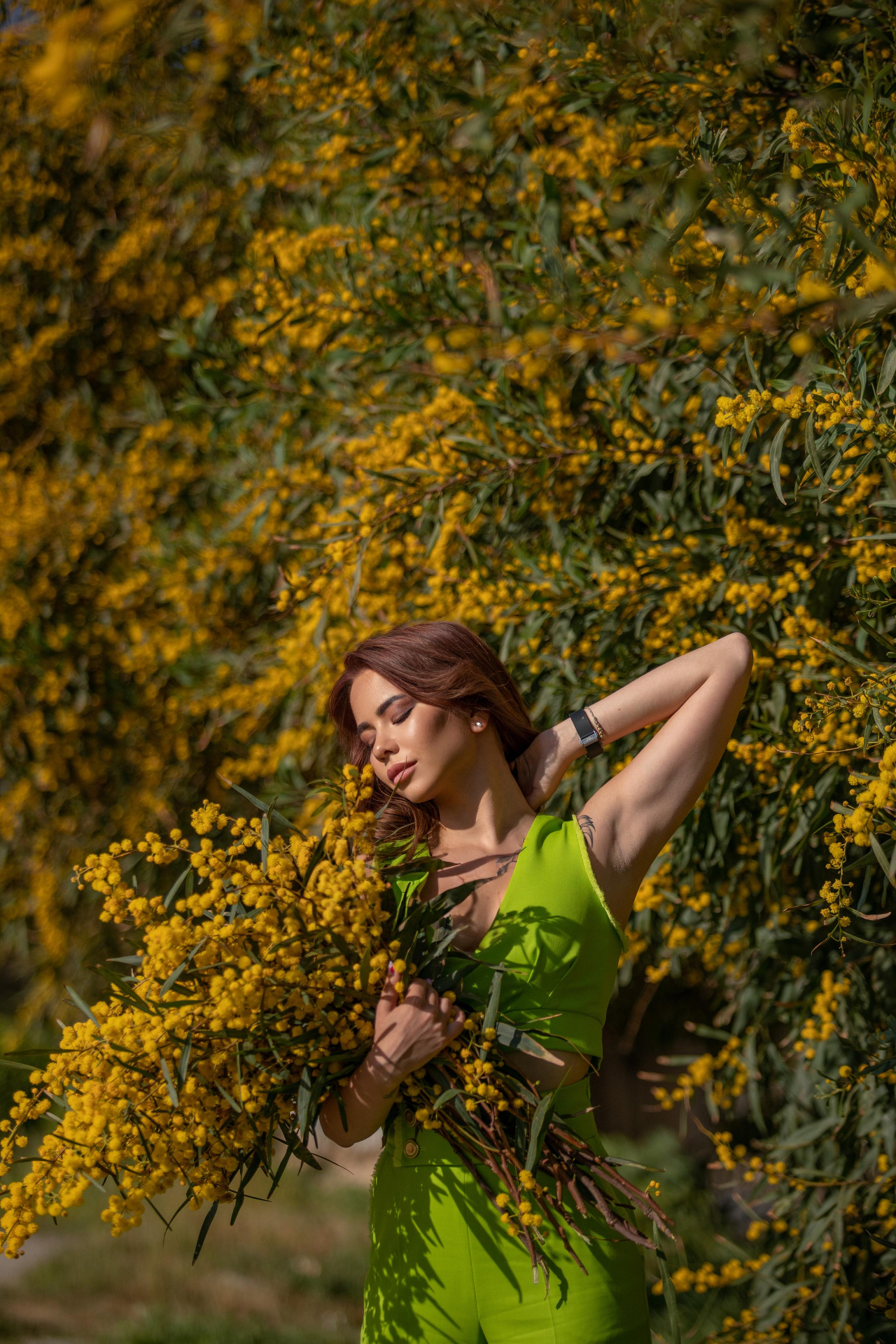 Мимоза. Фотограф в Турции | Алания, Сиде, Белек, Анталия, Кемер)