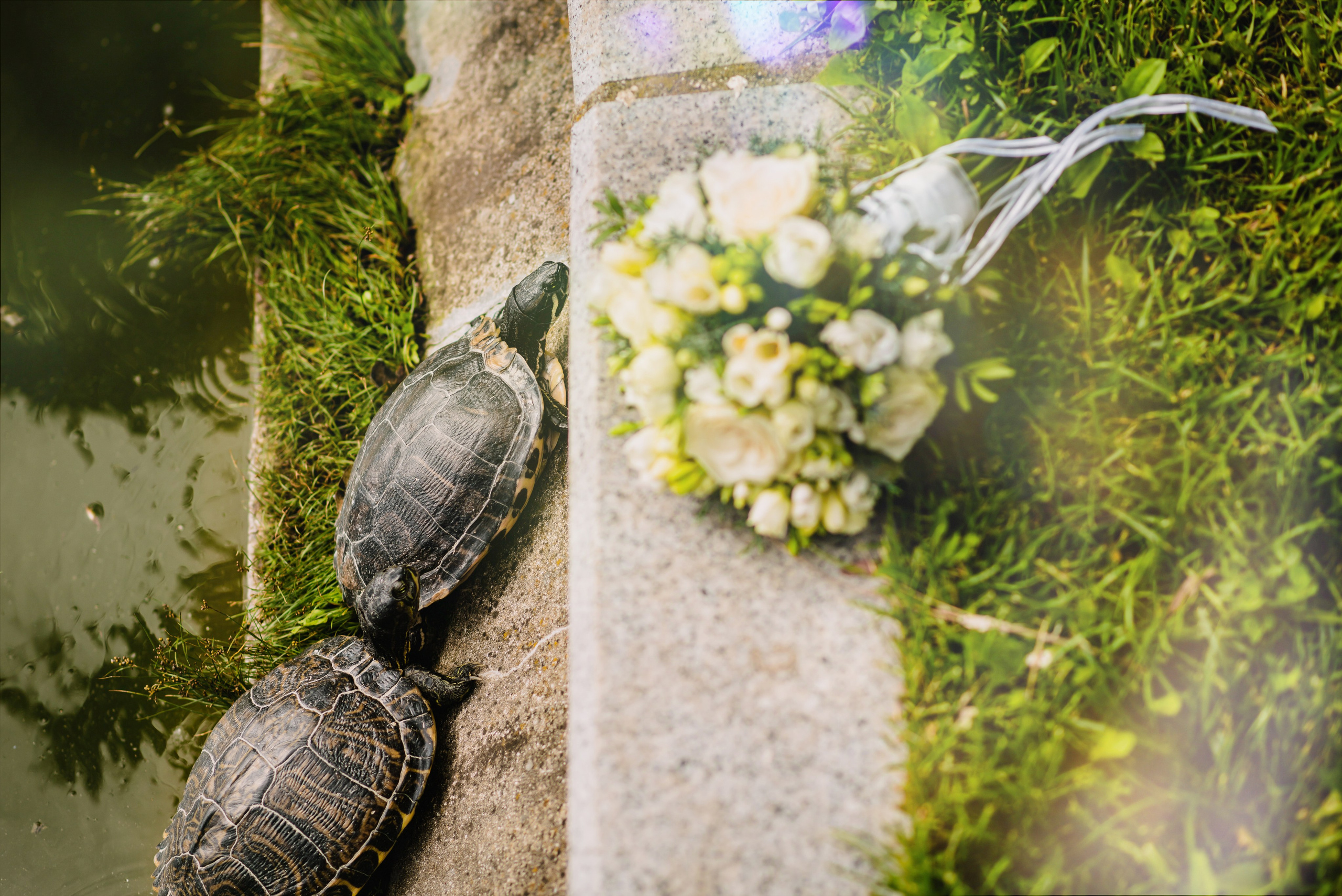 Silvia & Cristi. Giani Maftei