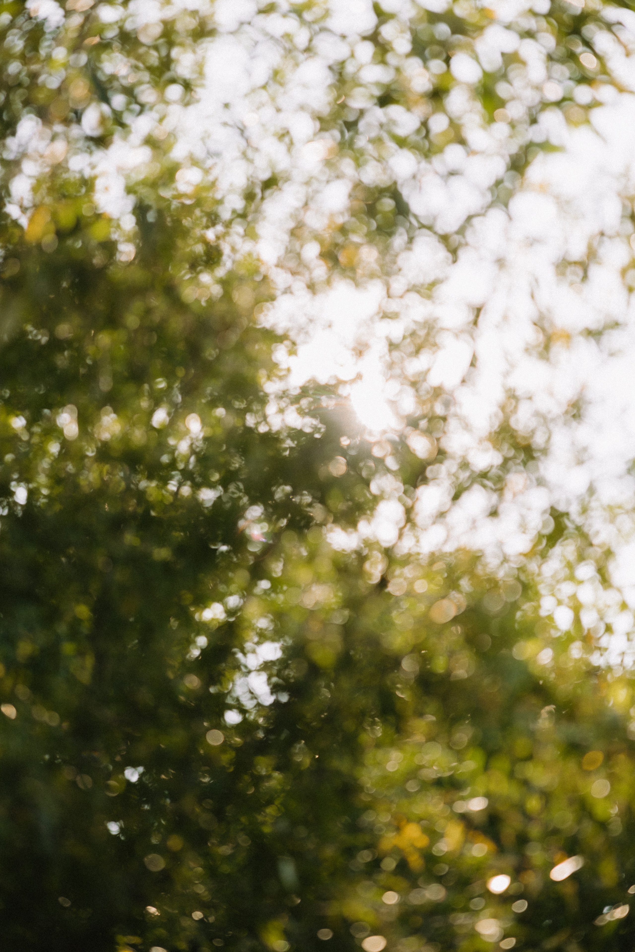 Sigita ir Artūras | Pabėgimas į gamtą ir aštrūs šešėliai. Vestuvių ir šeimų fotografė Lena Bondarenko / belove photo