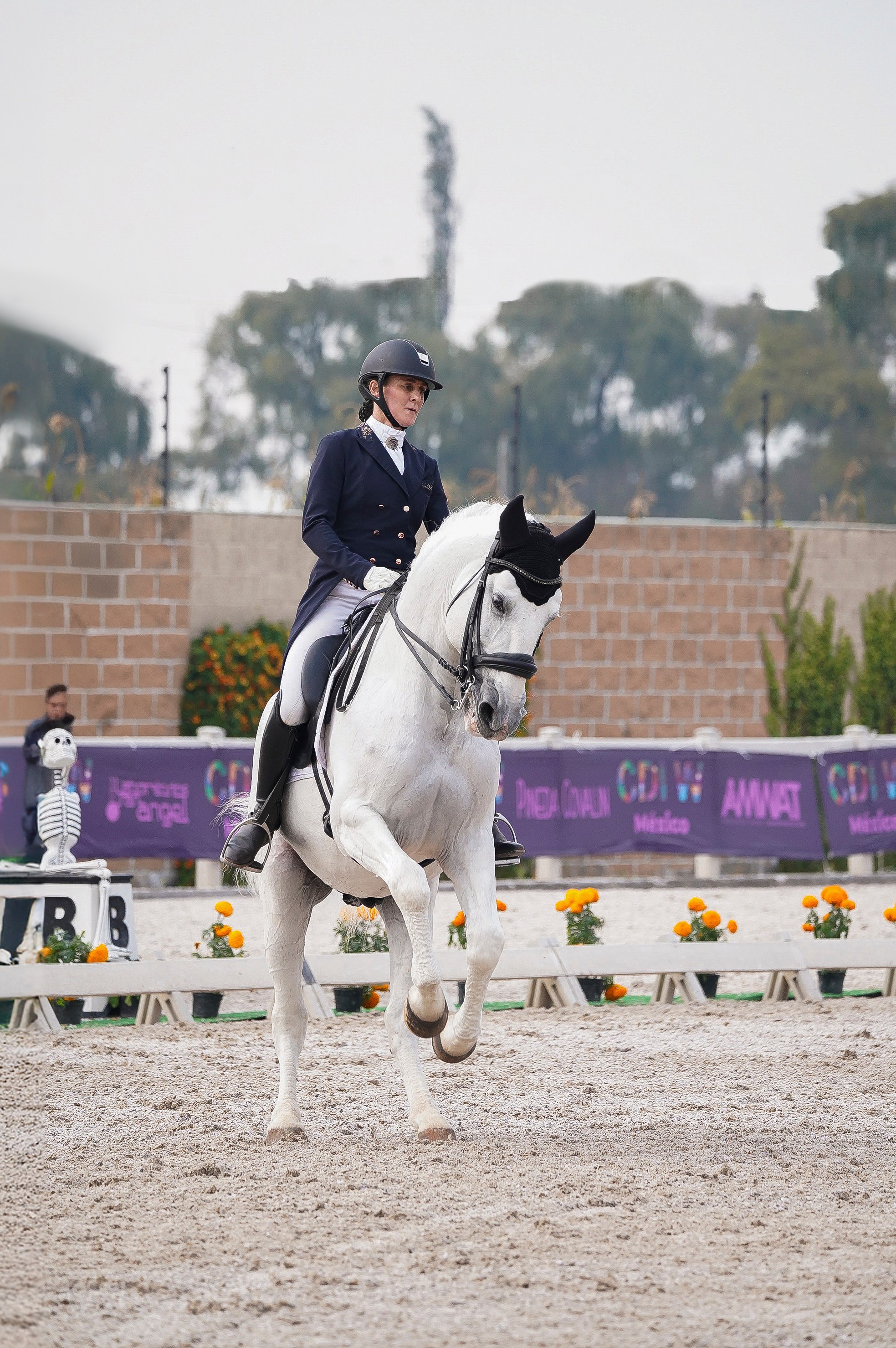 Sport events. Catrina Frolova photography