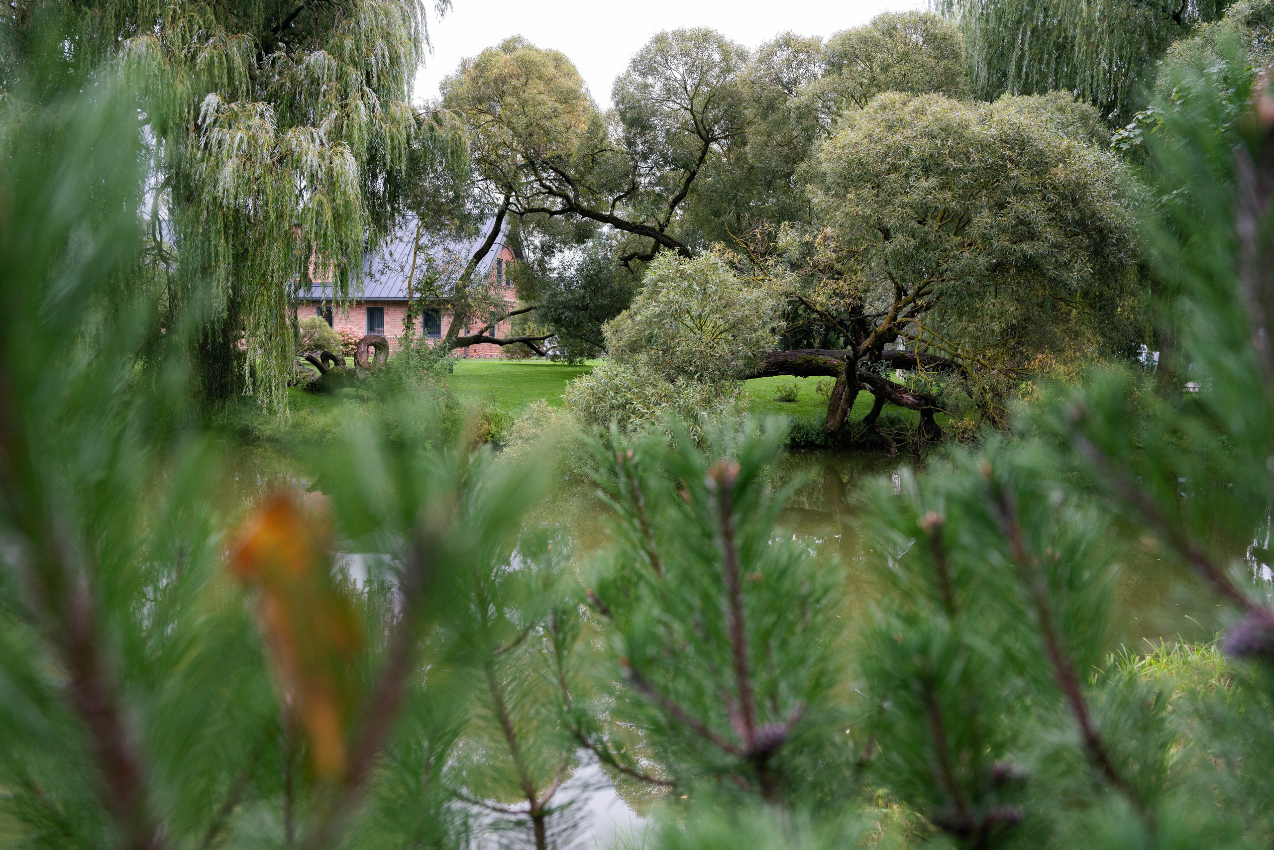 Kāzas Abgunstes muižā. ROLFS VENDIŅŠ - KĀZU FOTOGRĀFS | Rīgā un visā Latvijā