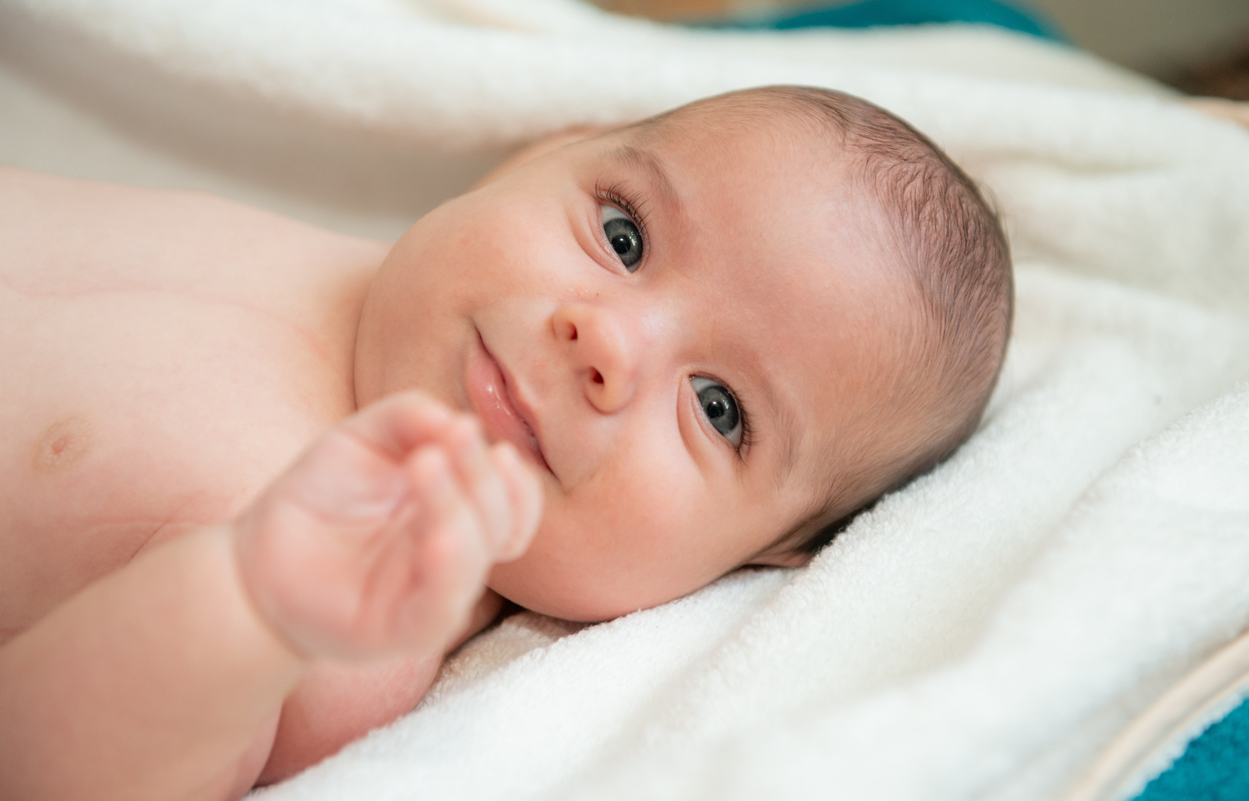 Cumetrie Domenic. Fotograf de familie Vitalie Budoianu