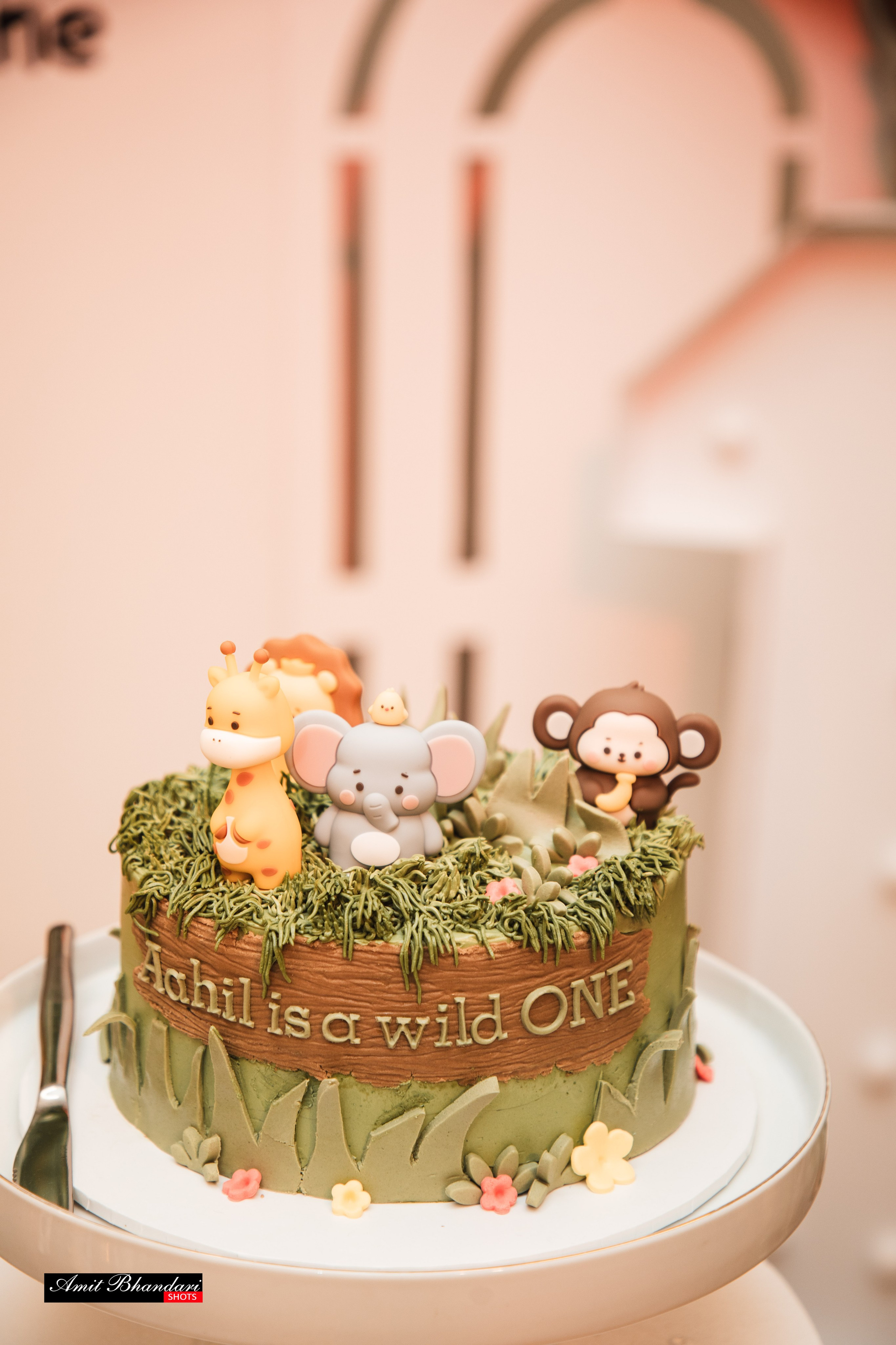 Ahil’s 1st Birthday. Freelance Photographer in Newcastle & Central Coast