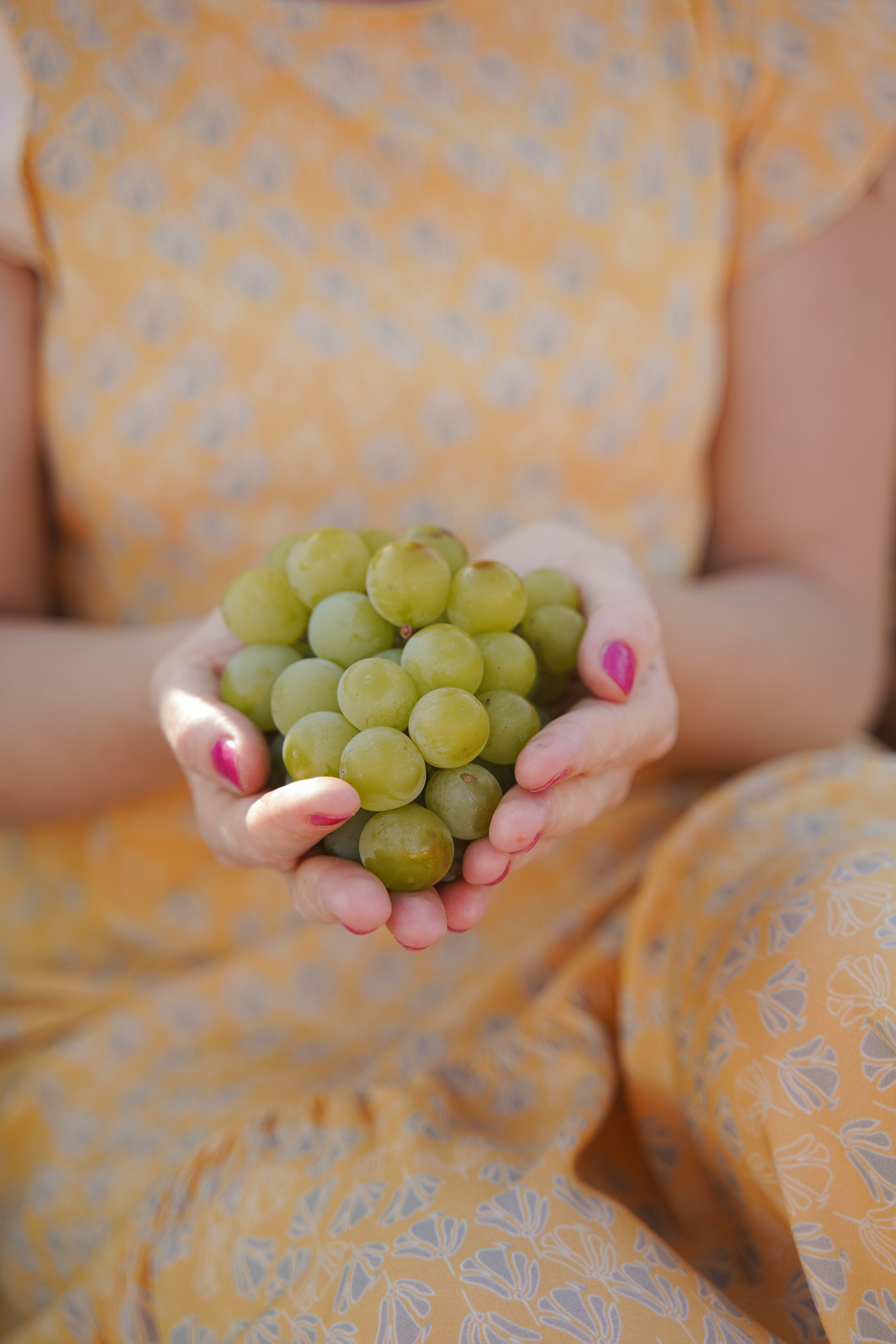 Фотосессии в виноградниках. Индивидуальный, семейный, свадебный фотограф Бенидорм Диана Меметова