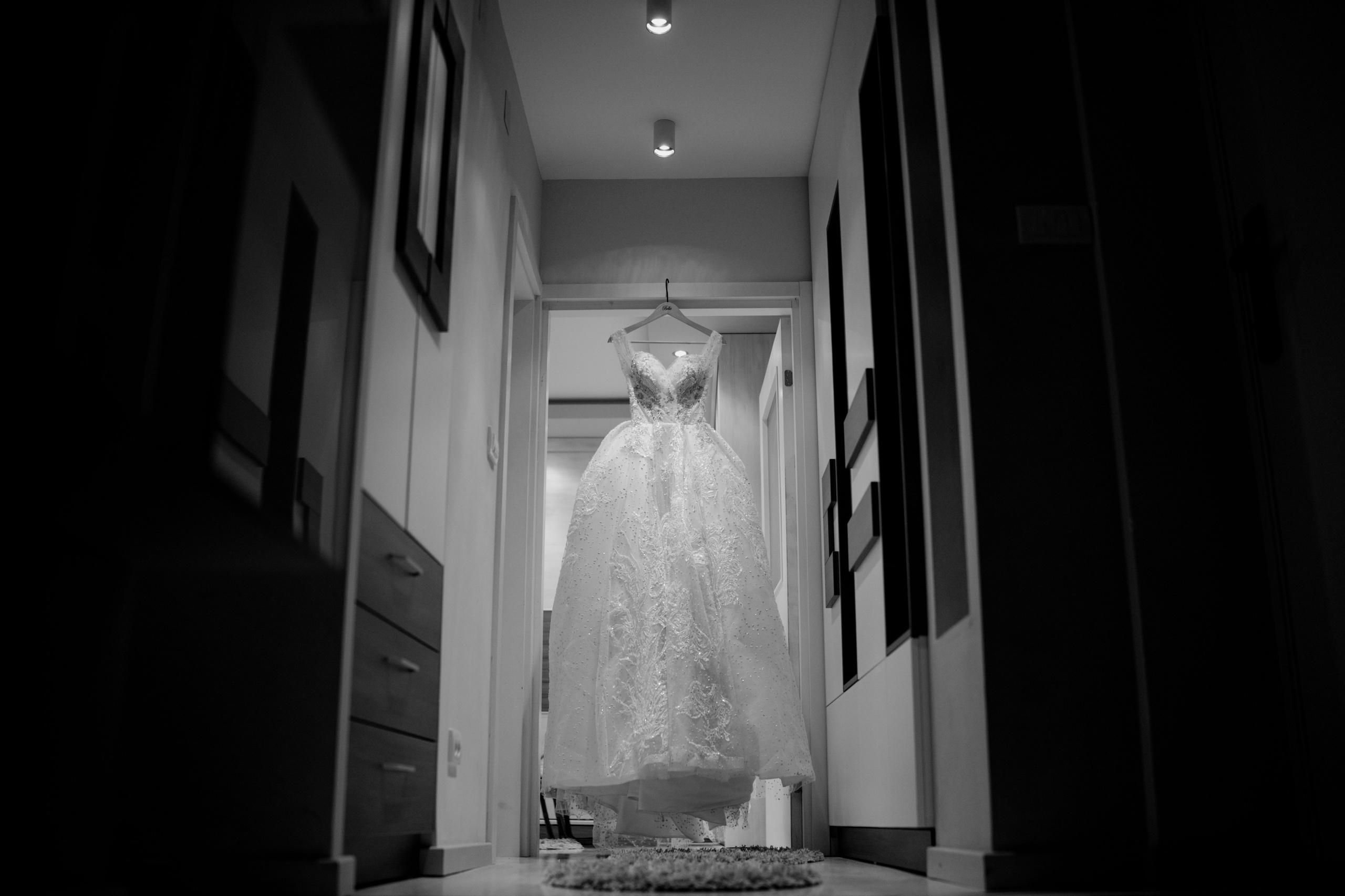 Vladimir & Jovana. NSJ — Wedding Studio