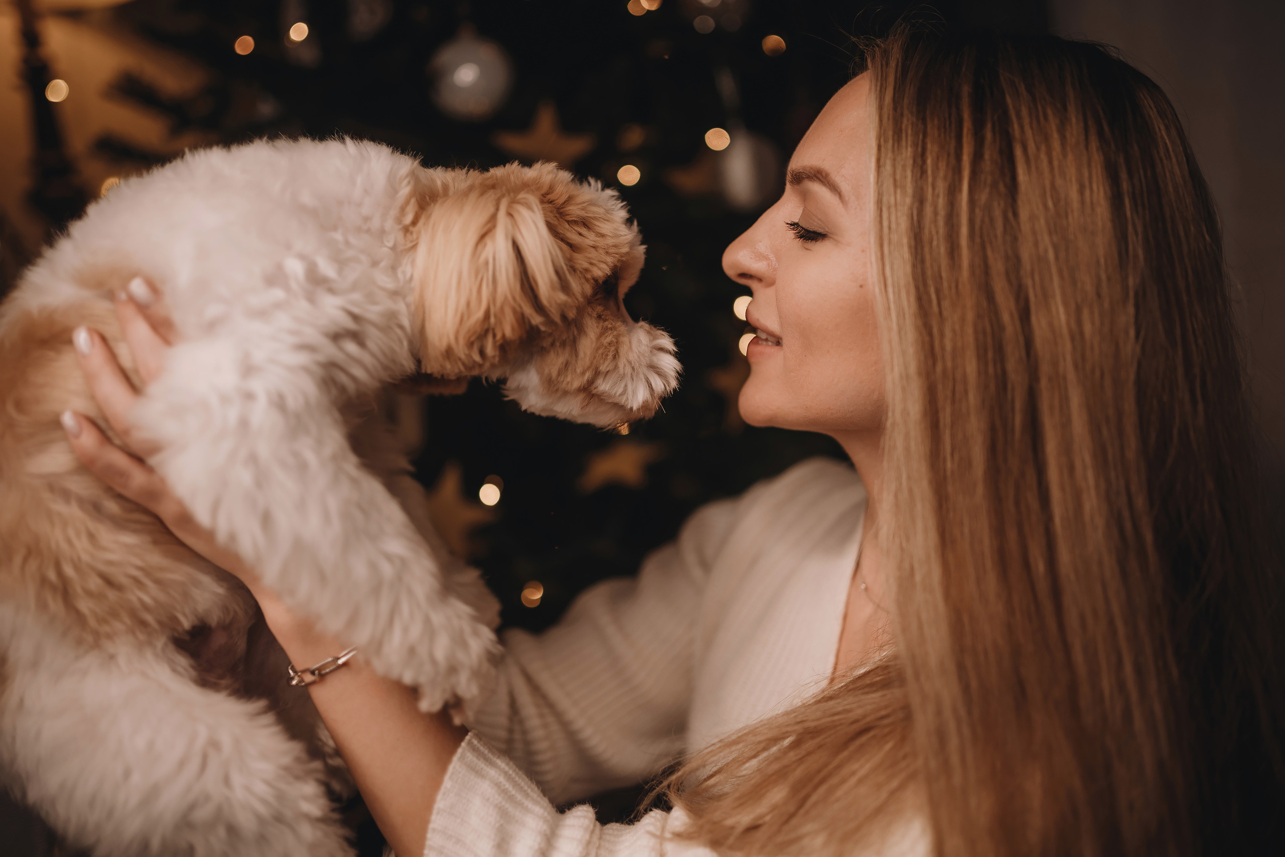 12142021 Christmas Photoshoot 14. Wedding family event photographer in Chicago Nick Yushevich