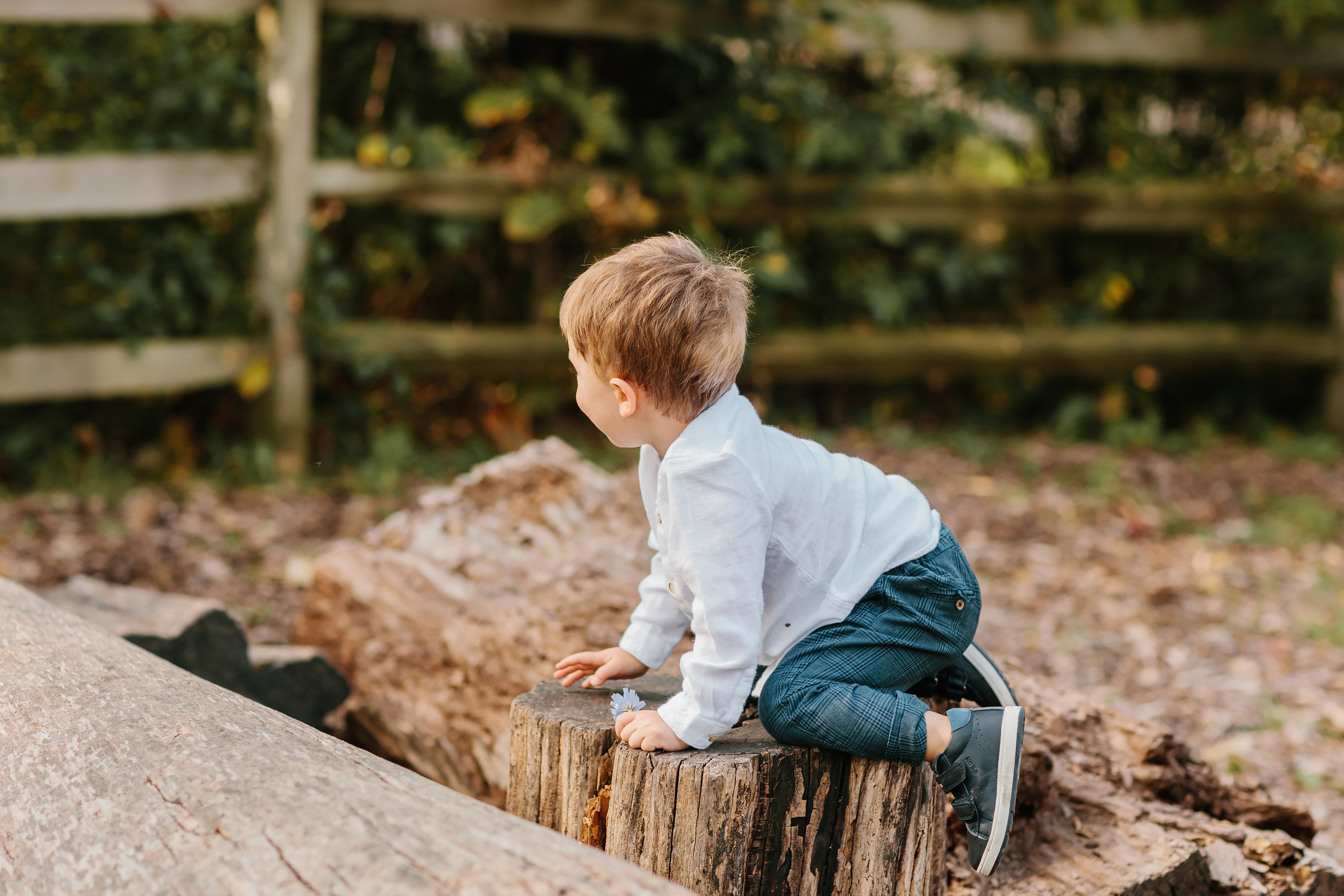 10.02.2021 Family photoshoot. Wedding family event photographer in Chicago Nick Yushevich