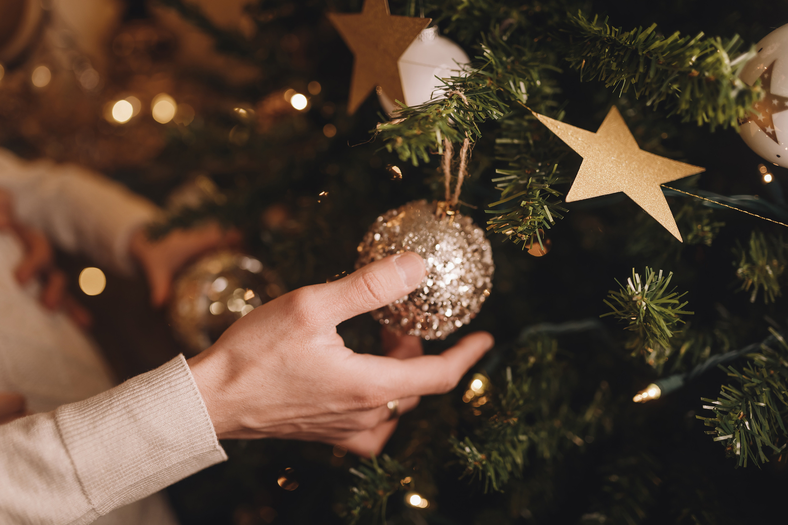 12112021 Christmas Photoshoot 12. Wedding family event photographer in Chicago Nick Yushevich