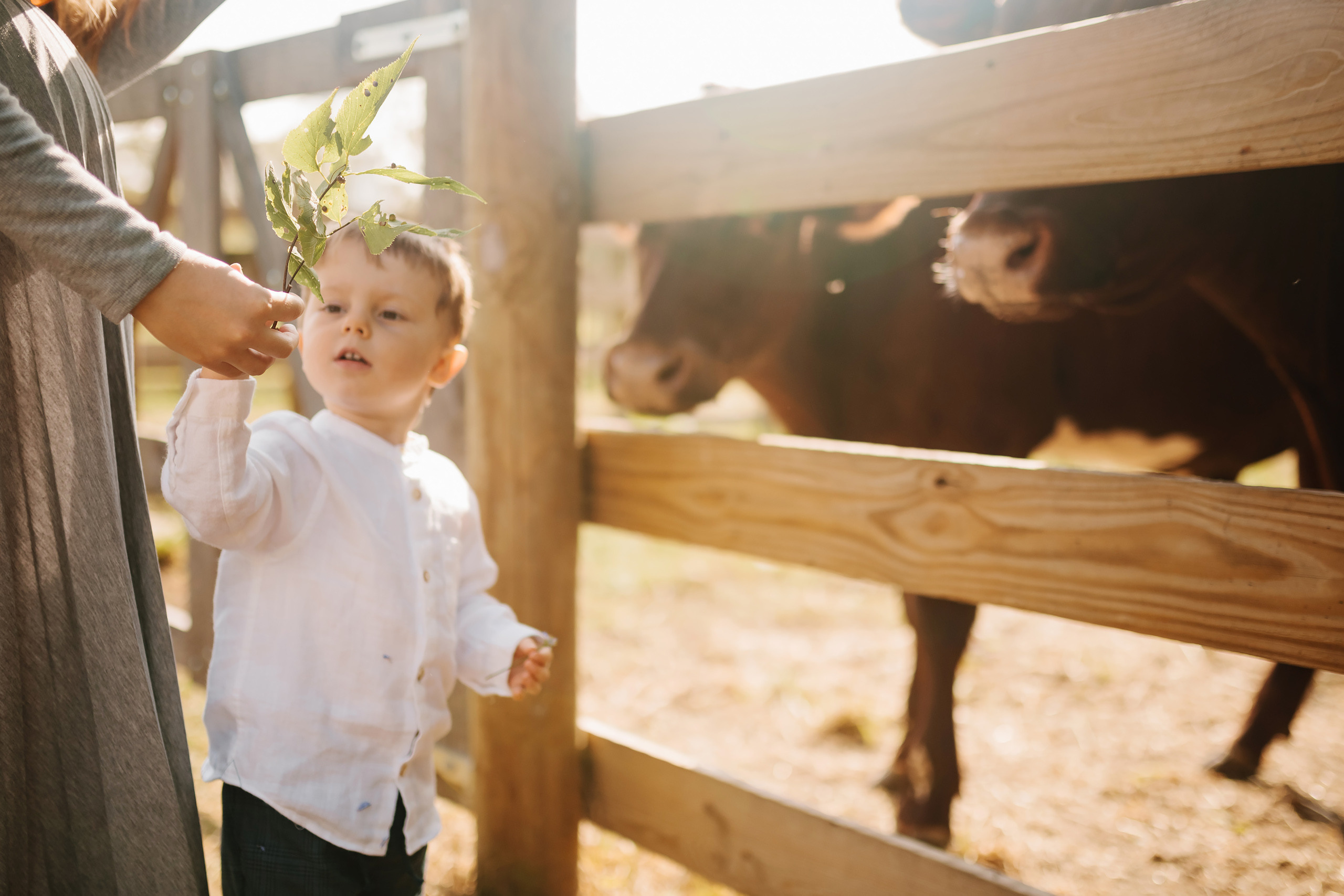 10.02.2021 Family photoshoot. Wedding family event photographer in Chicago Nick Yushevich