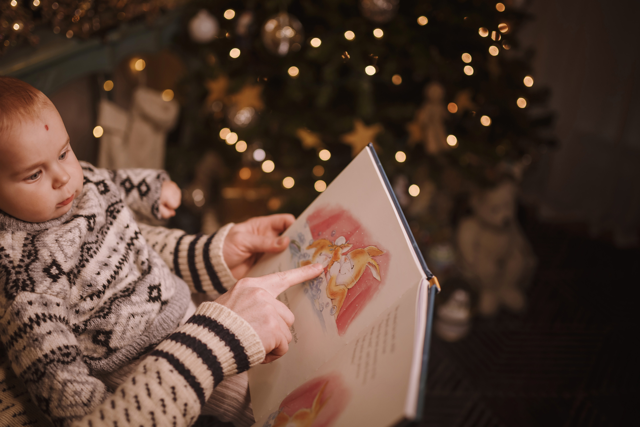 12052021 Christmas Photoshoot 10. Wedding family event photographer in Chicago Nick Yushevich