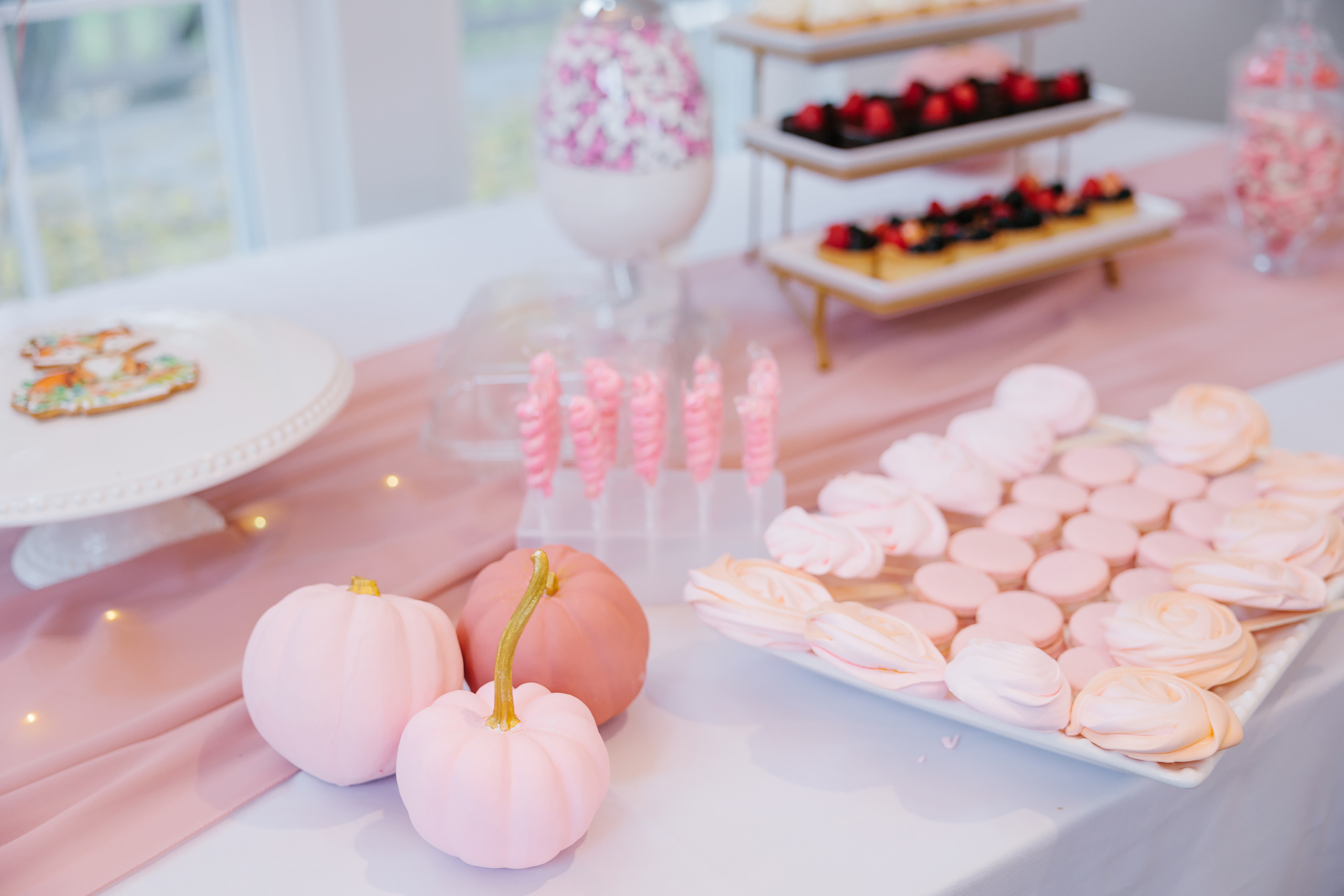 11.13.2021 First birthday. Wedding family event photographer in Chicago Nick Yushevich