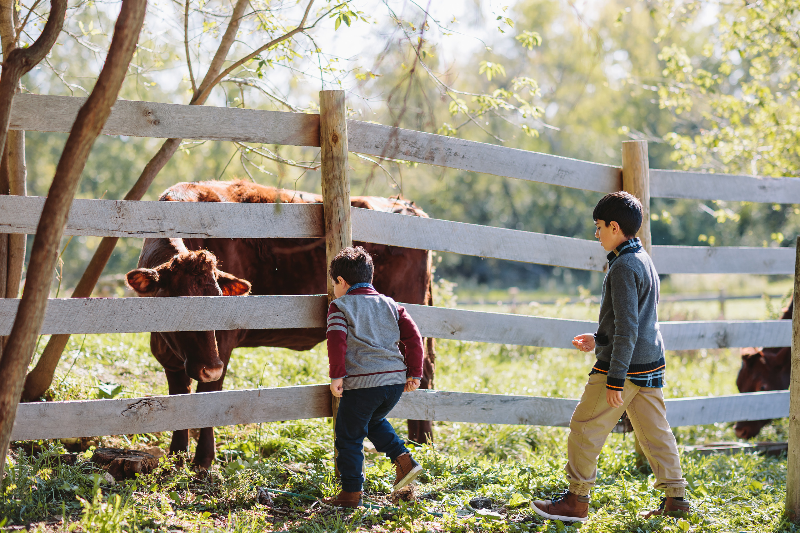10.17.2021 Family photoshoot. Wedding family event photographer in Chicago Nick Yushevich