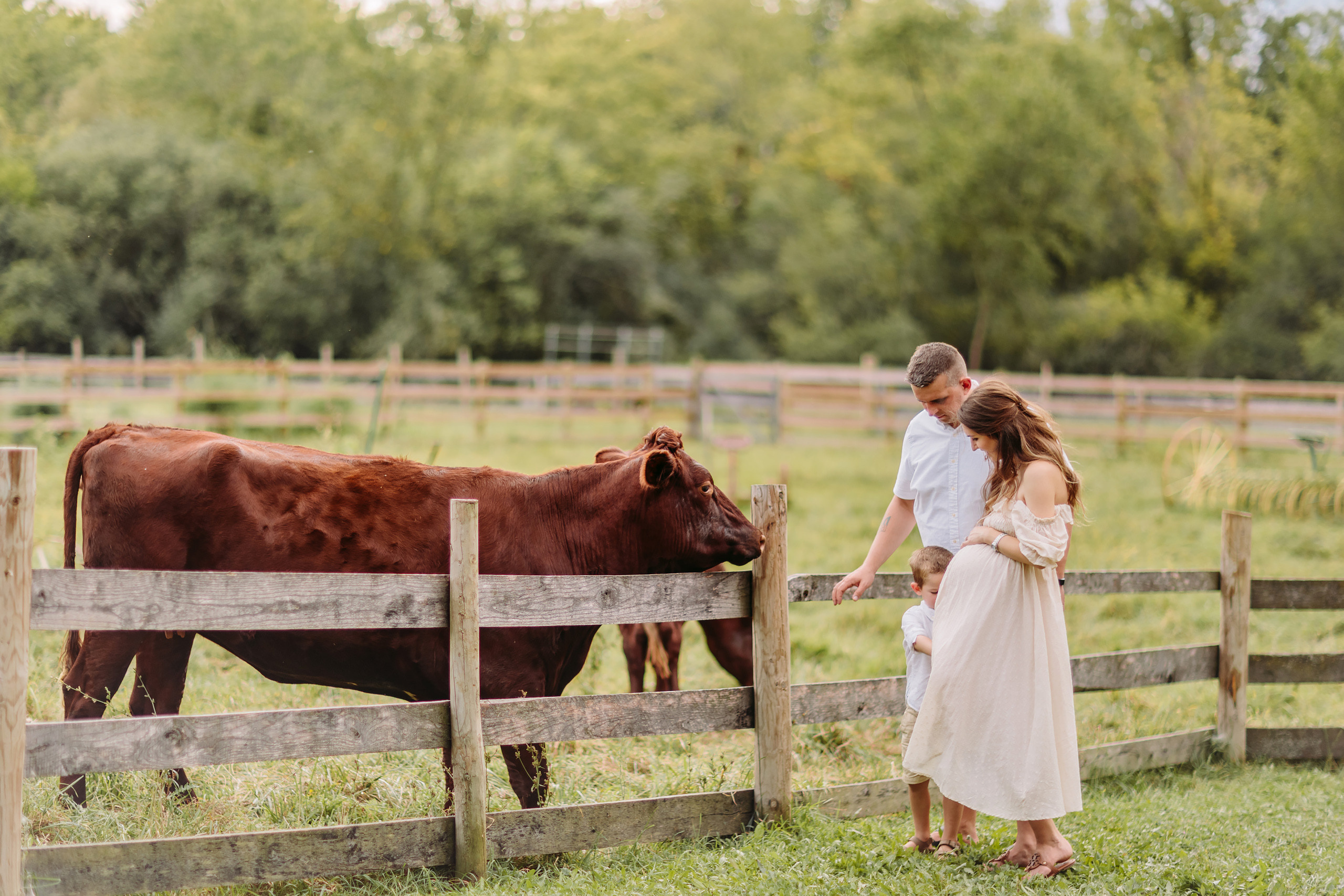 09.17.2021 Family photoshoot. Wedding family event photographer in Chicago Nick Yushevich