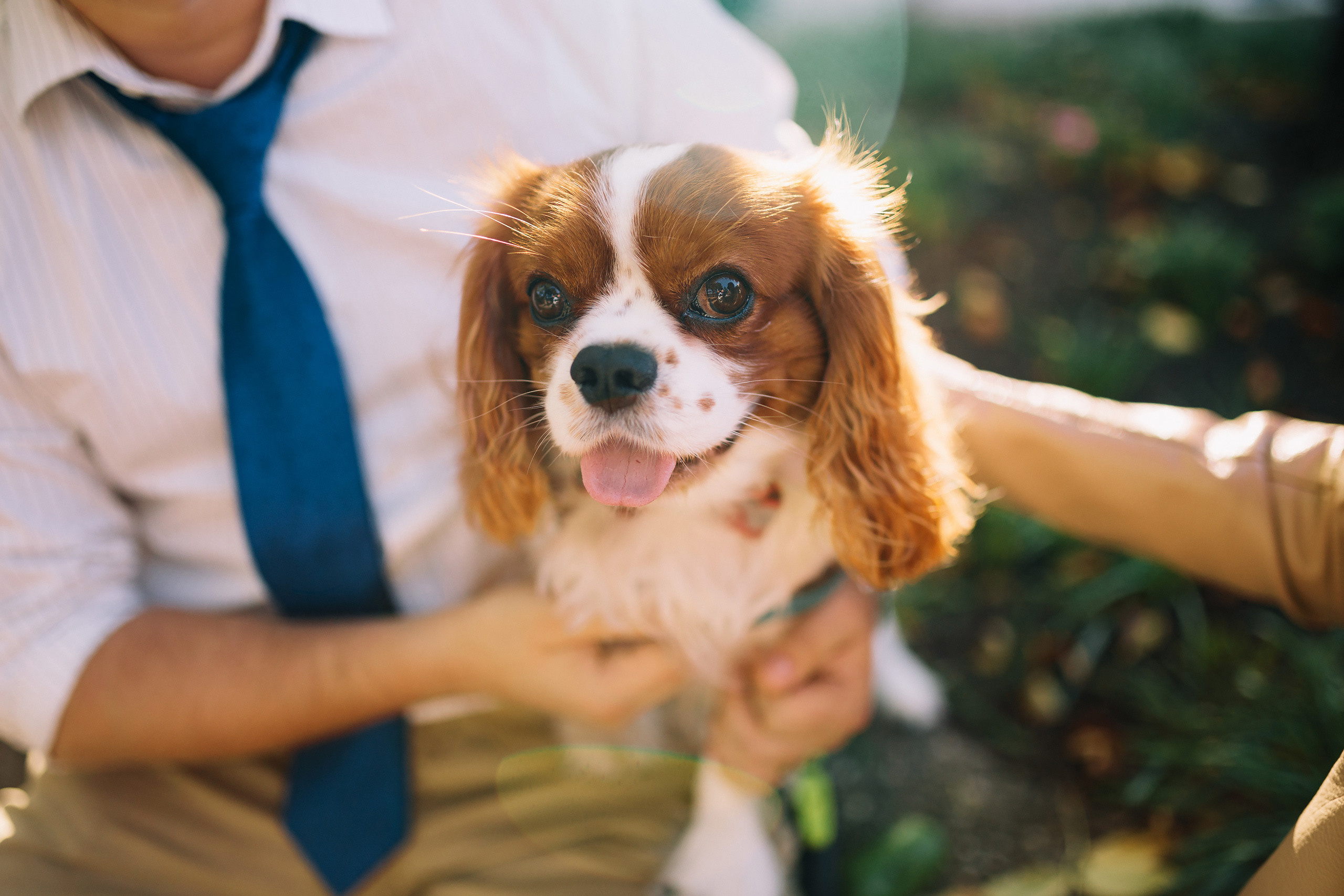 10.18.2021 Walk in Chicago. Wedding family event photographer in Chicago Nick Yushevich