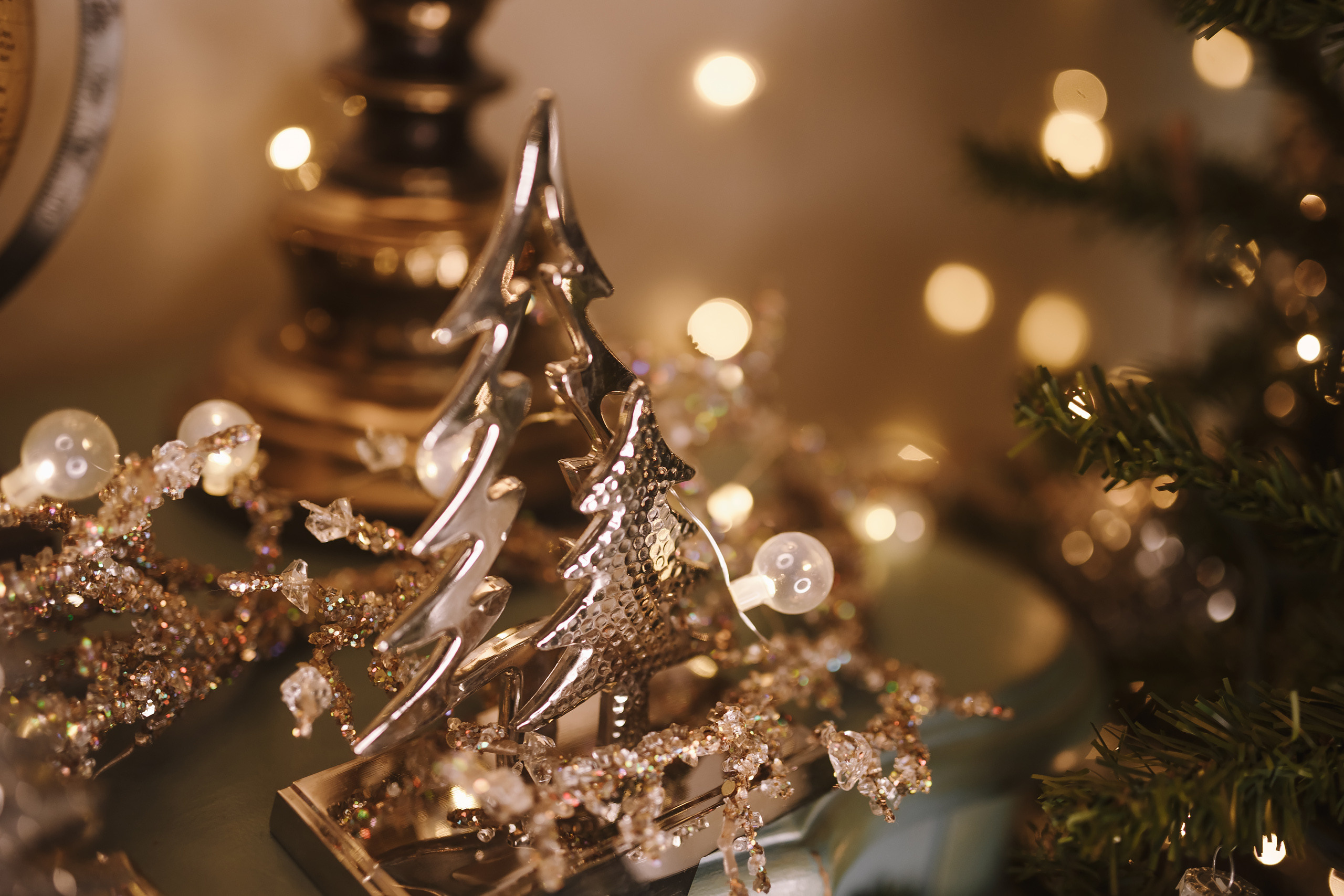 12042021 Christmas Photoshoot 9. Wedding family event photographer in Chicago Nick Yushevich