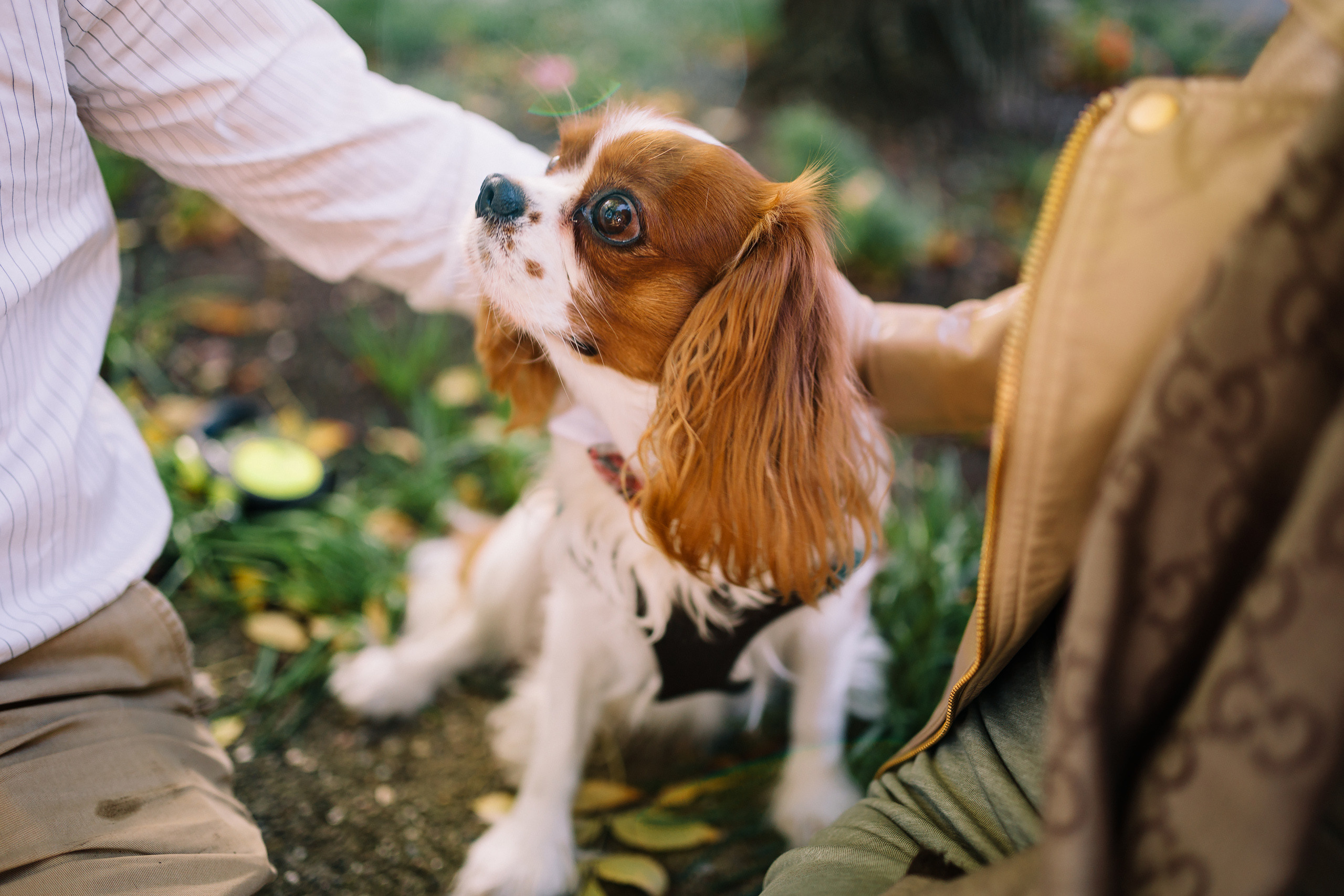 10.18.2021 Walk in Chicago. Wedding family event photographer in Chicago Nick Yushevich