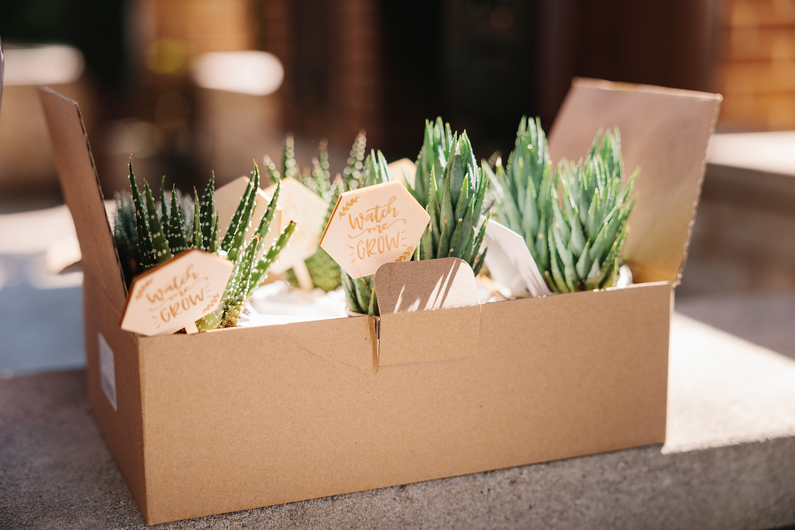 08.15.2021 Baby shower. Wedding family event photographer in Chicago Nick Yushevich