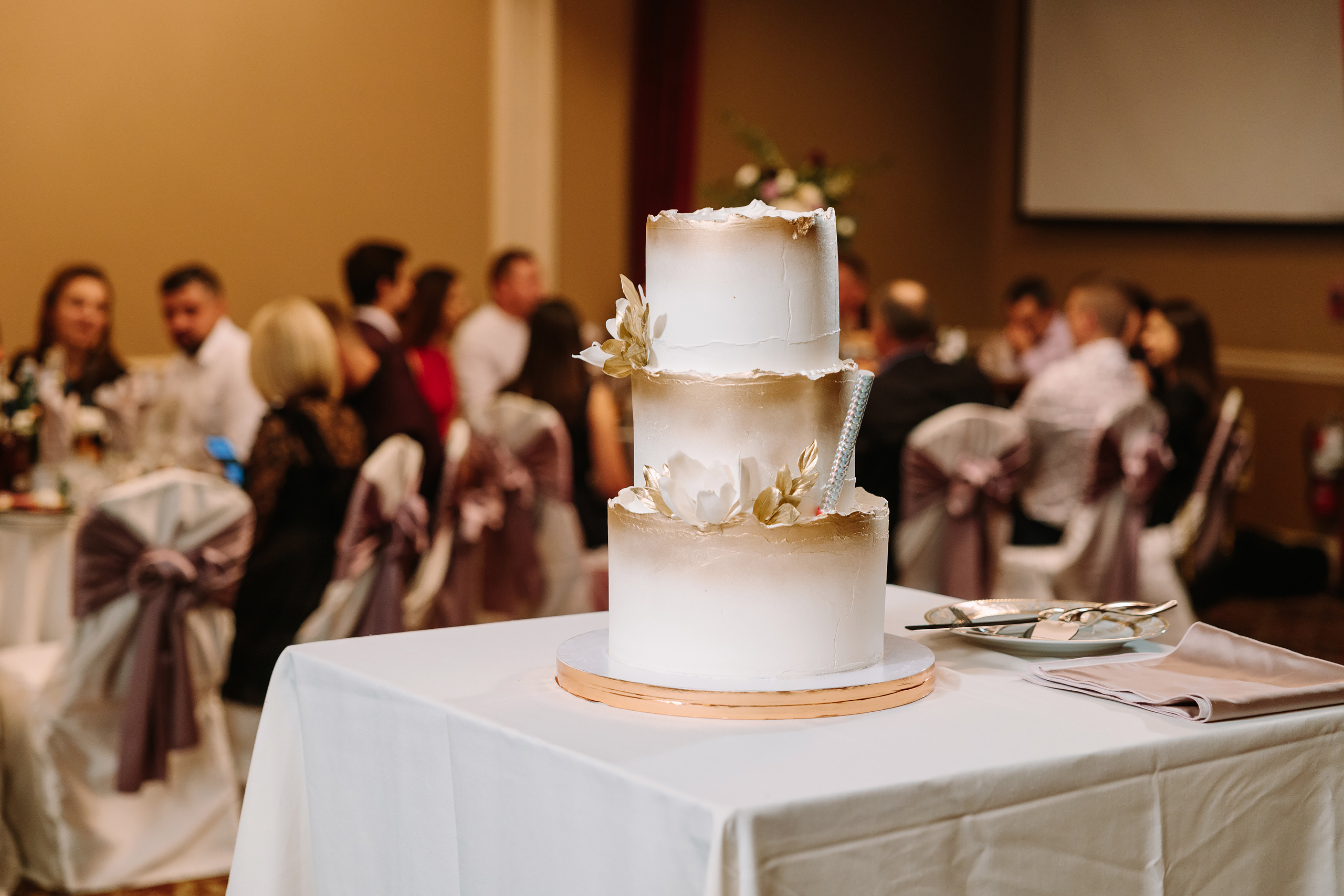 10.02.2021 Wedding. Wedding family event photographer in Chicago Nick Yushevich