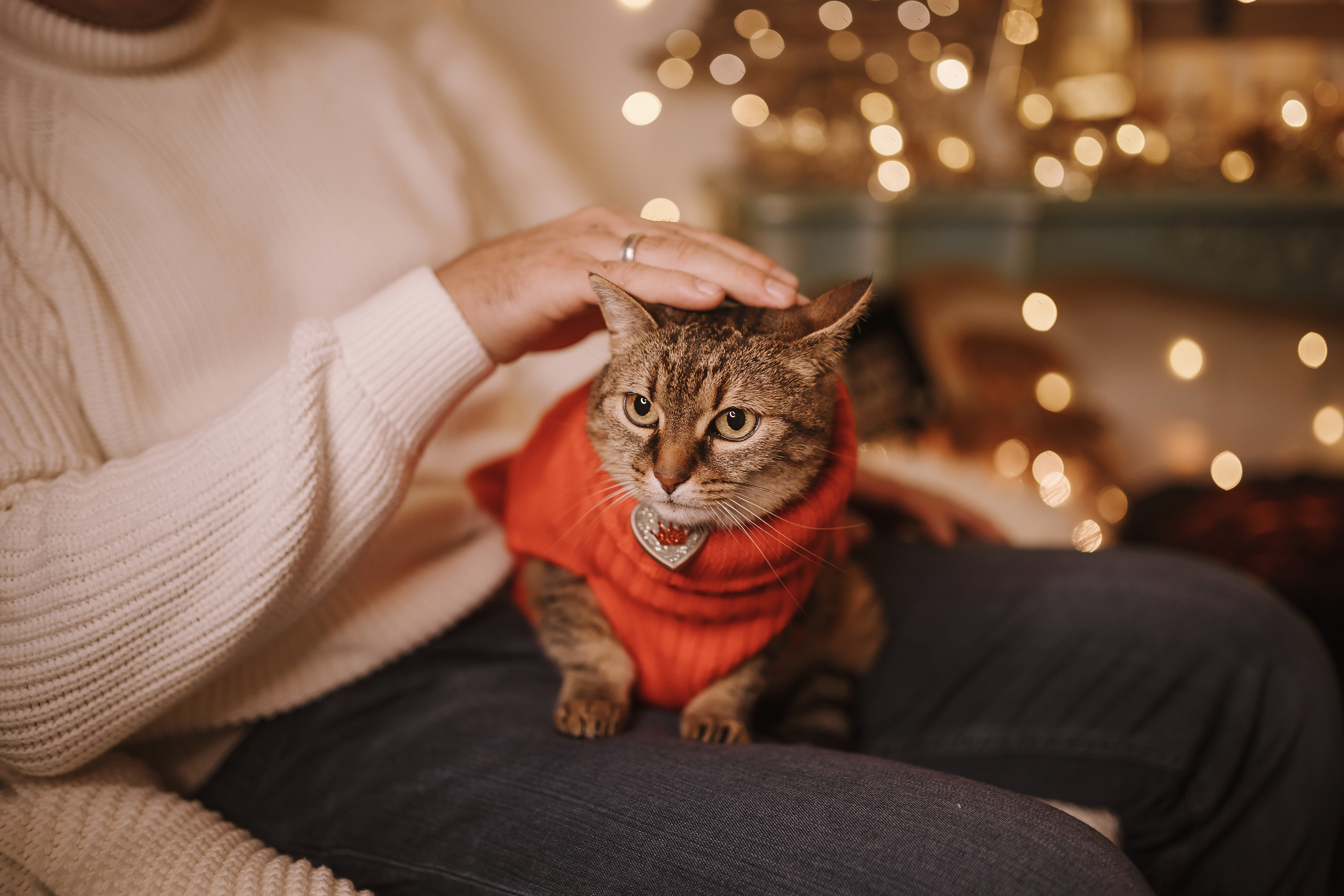 11182021 Christmas Photoshoot 2. Wedding family event photographer in Chicago Nick Yushevich