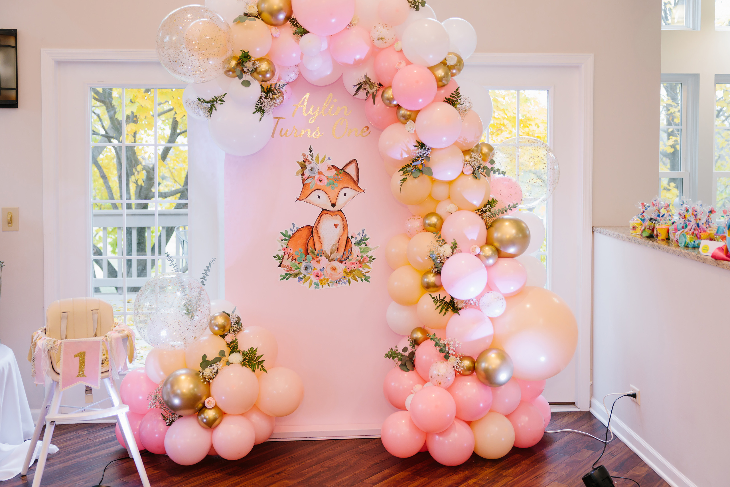 11.13.2021 First birthday. Wedding family event photographer in Chicago Nick Yushevich