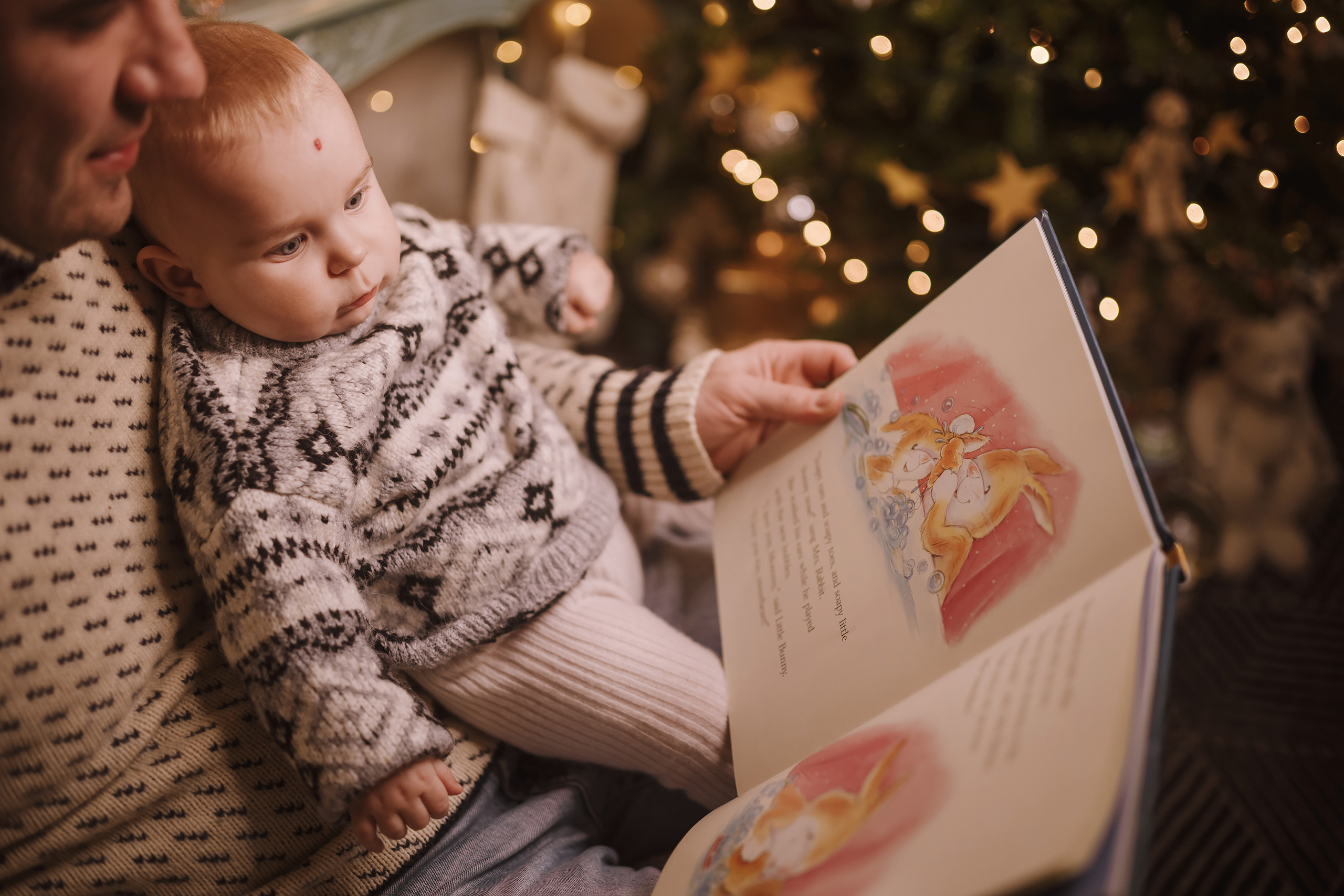 12052021 Christmas Photoshoot 10. Wedding family event photographer in Chicago Nick Yushevich