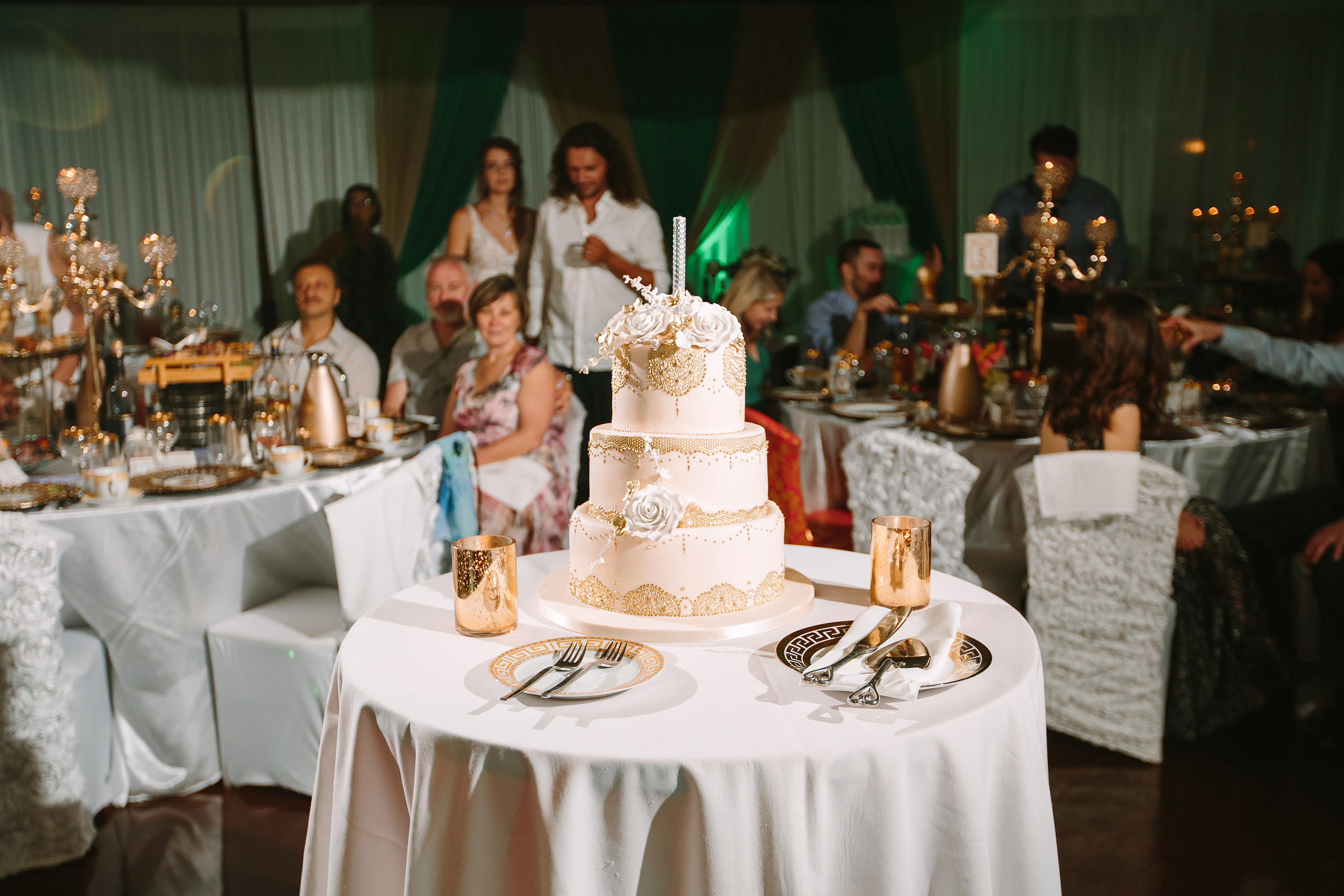 08.03.2019 Wedding. Wedding family event photographer in Chicago Nick Yushevich