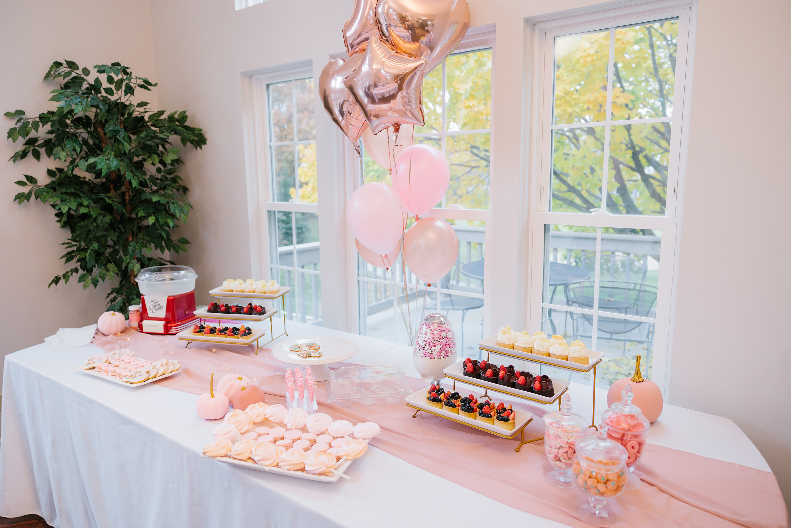 11.13.2021 First birthday. Wedding family event photographer in Chicago Nick Yushevich