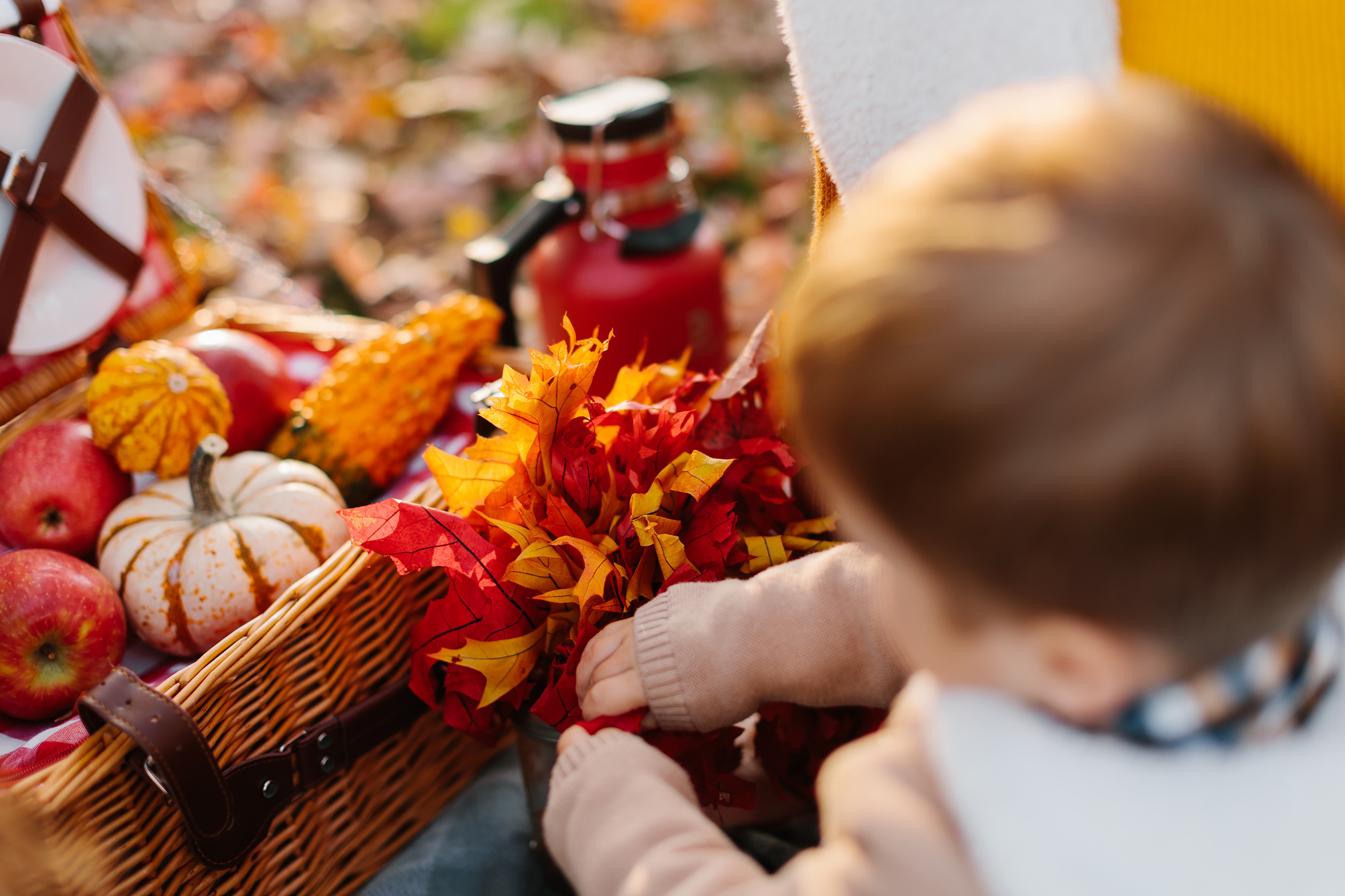11.05.2021 Family photoshoot. Wedding family event photographer in Chicago Nick Yushevich