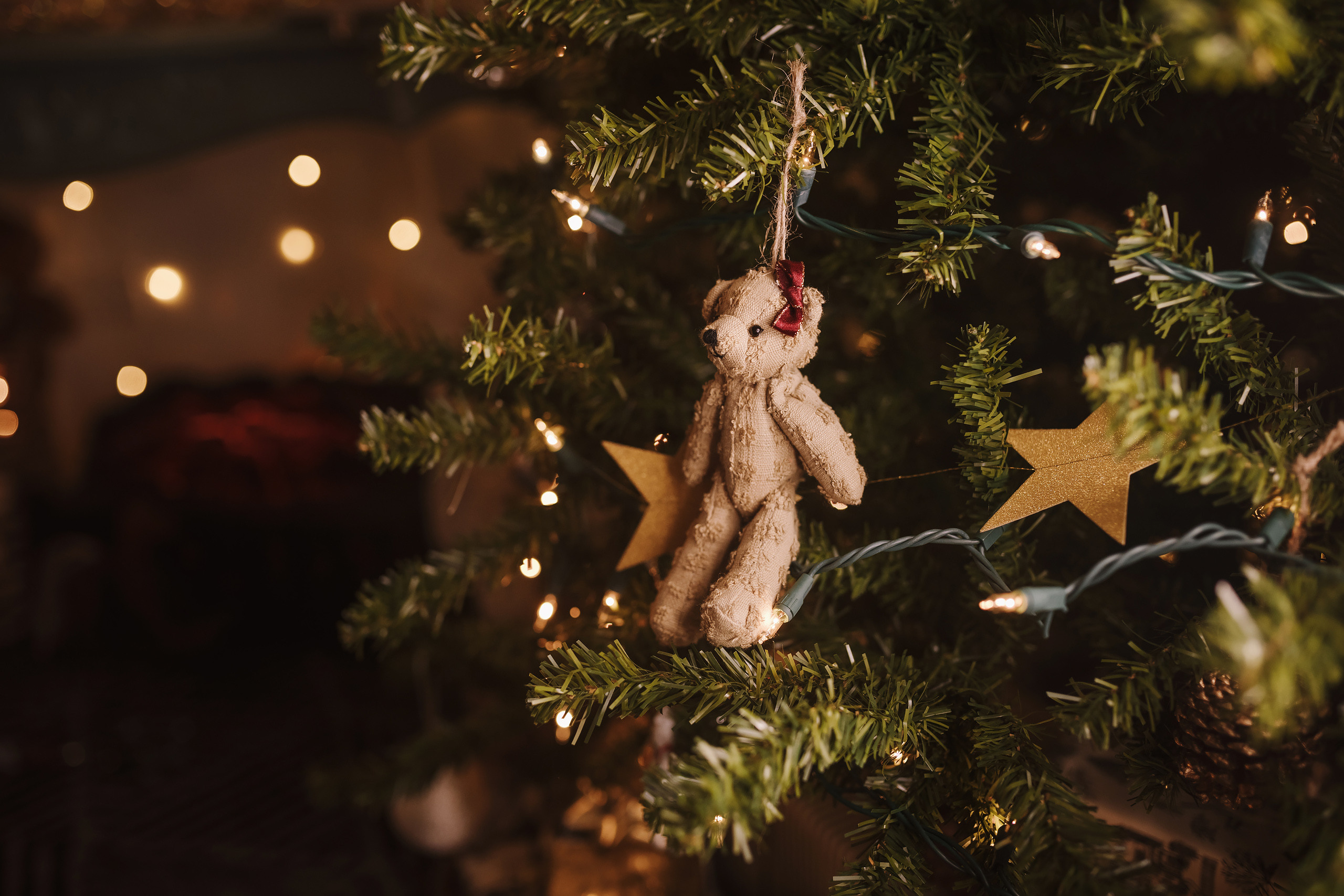 12042021 Christmas Photoshoot 8. Wedding family event photographer in Chicago Nick Yushevich