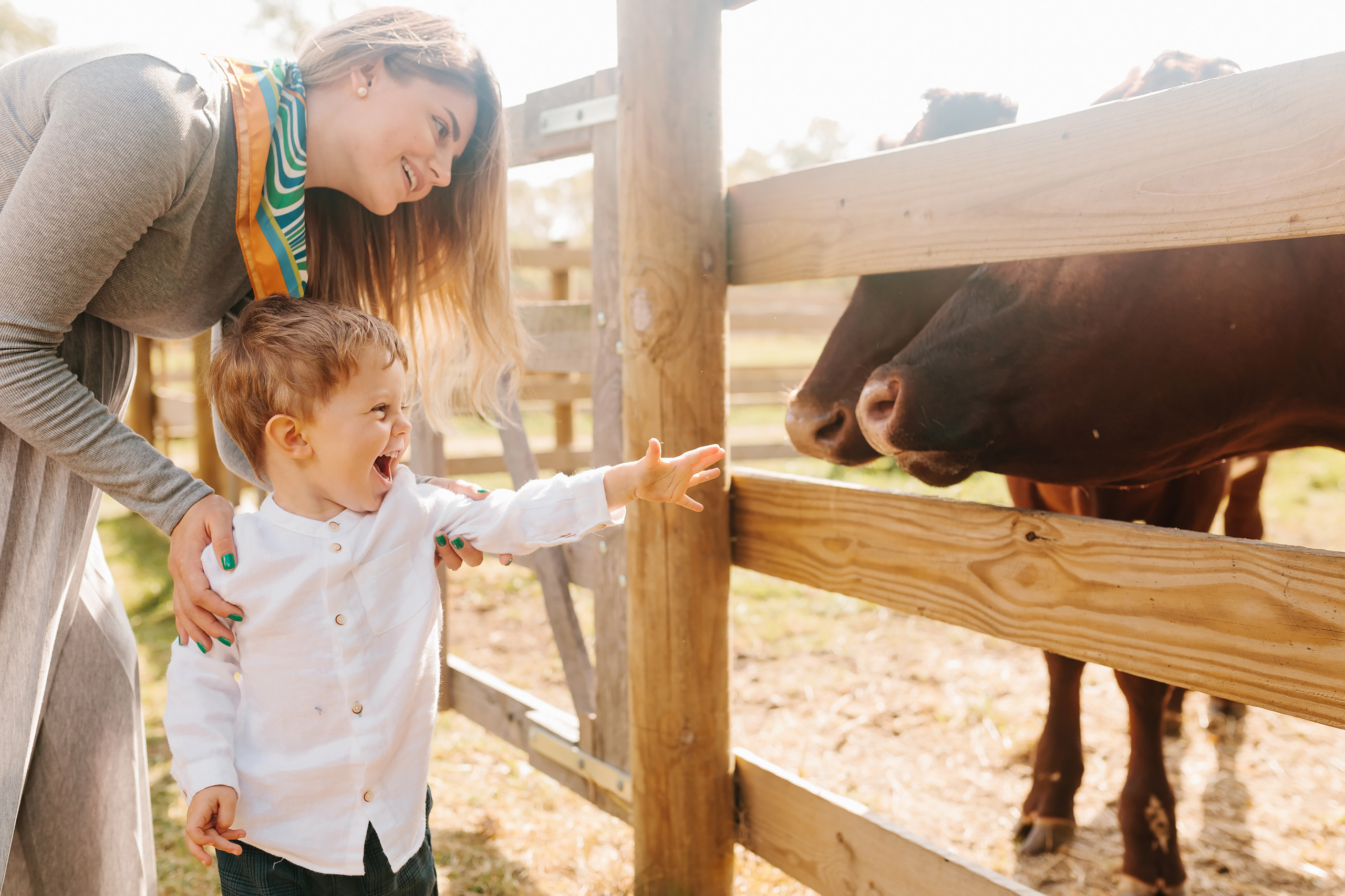 10.02.2021 Family photoshoot. Wedding family event photographer in Chicago Nick Yushevich