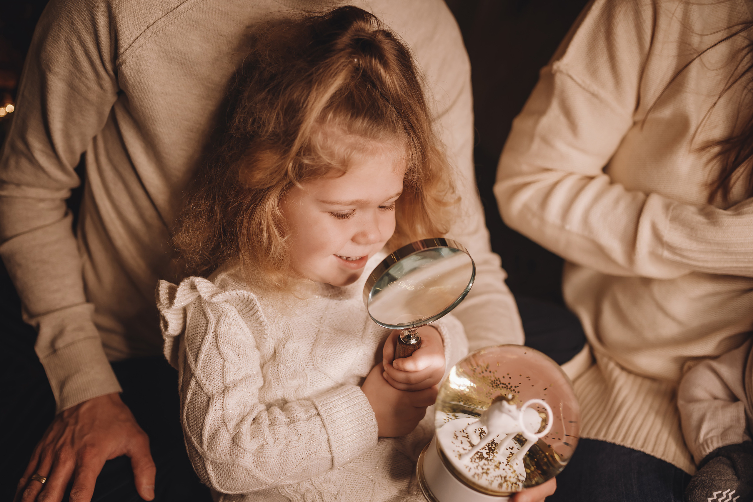 12112021 Christmas Photoshoot 12. Wedding family event photographer in Chicago Nick Yushevich