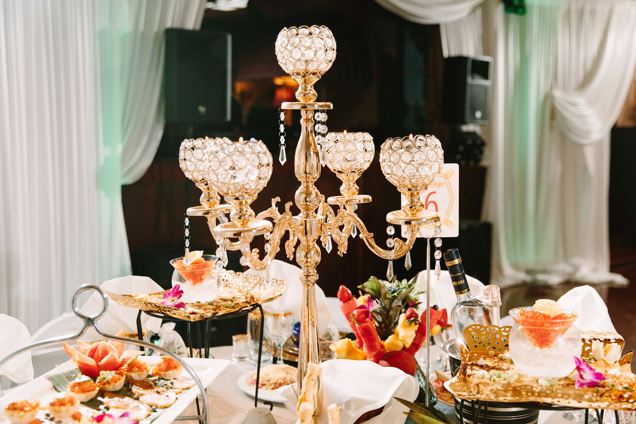 08.03.2019 Wedding. Wedding family event photographer in Chicago Nick Yushevich