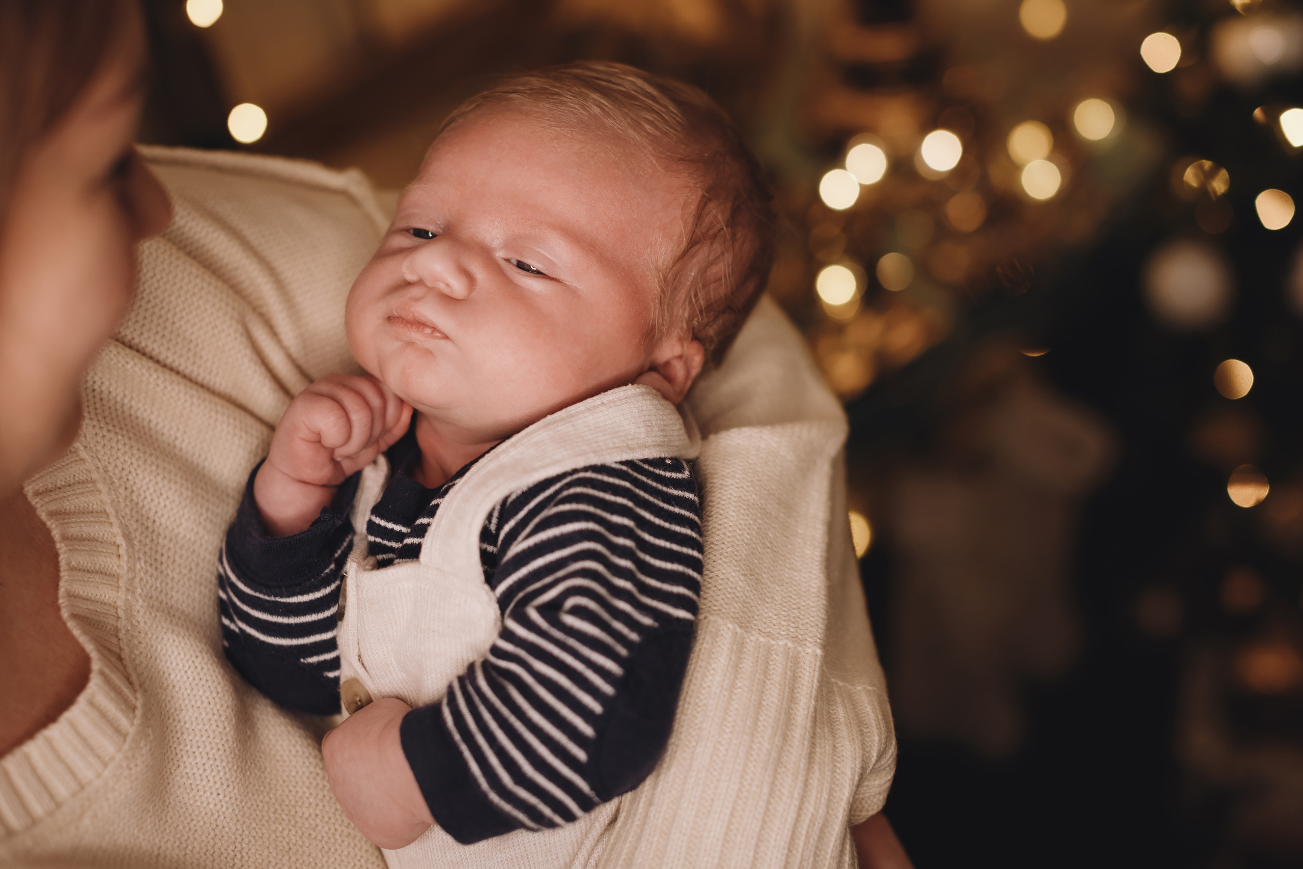 12112021 Christmas Photoshoot 12. Wedding family event photographer in Chicago Nick Yushevich