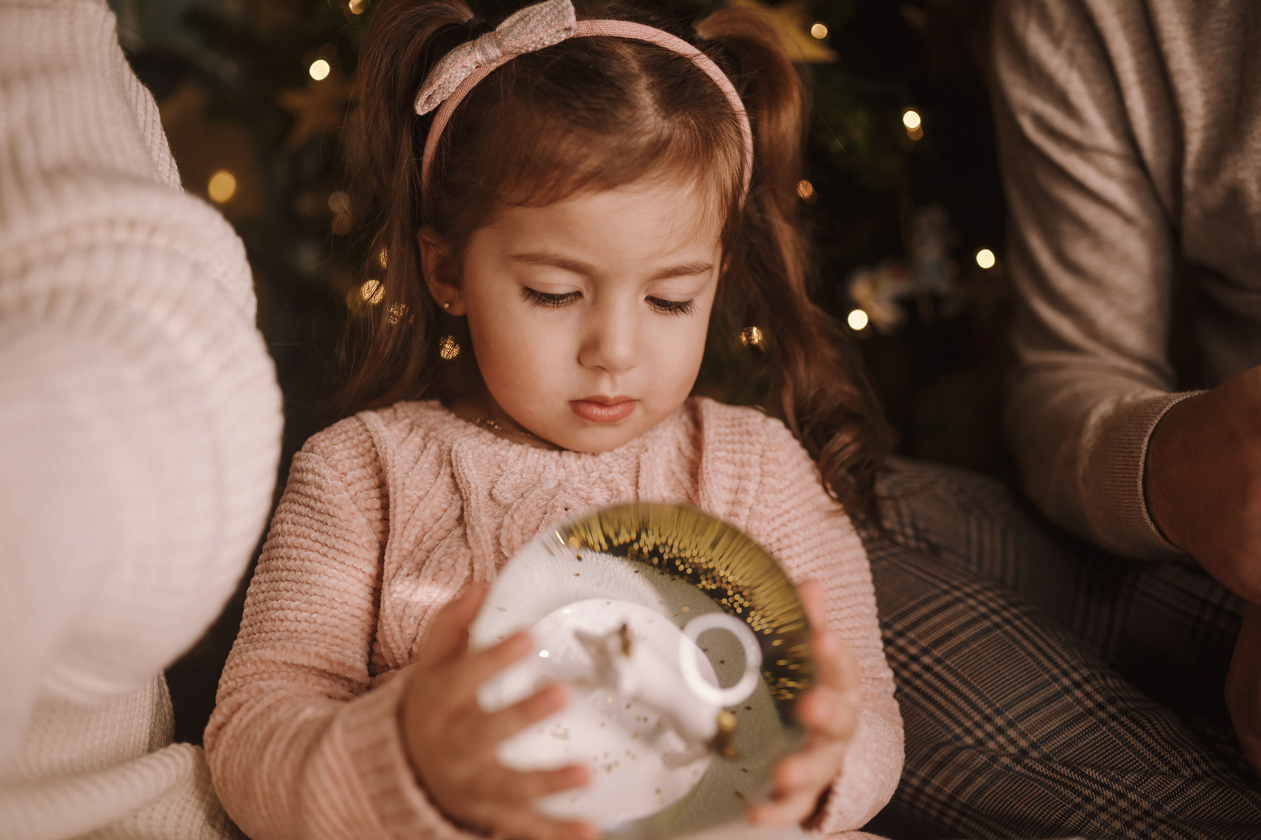 12042021 Christmas Photoshoot 9. Wedding family event photographer in Chicago Nick Yushevich