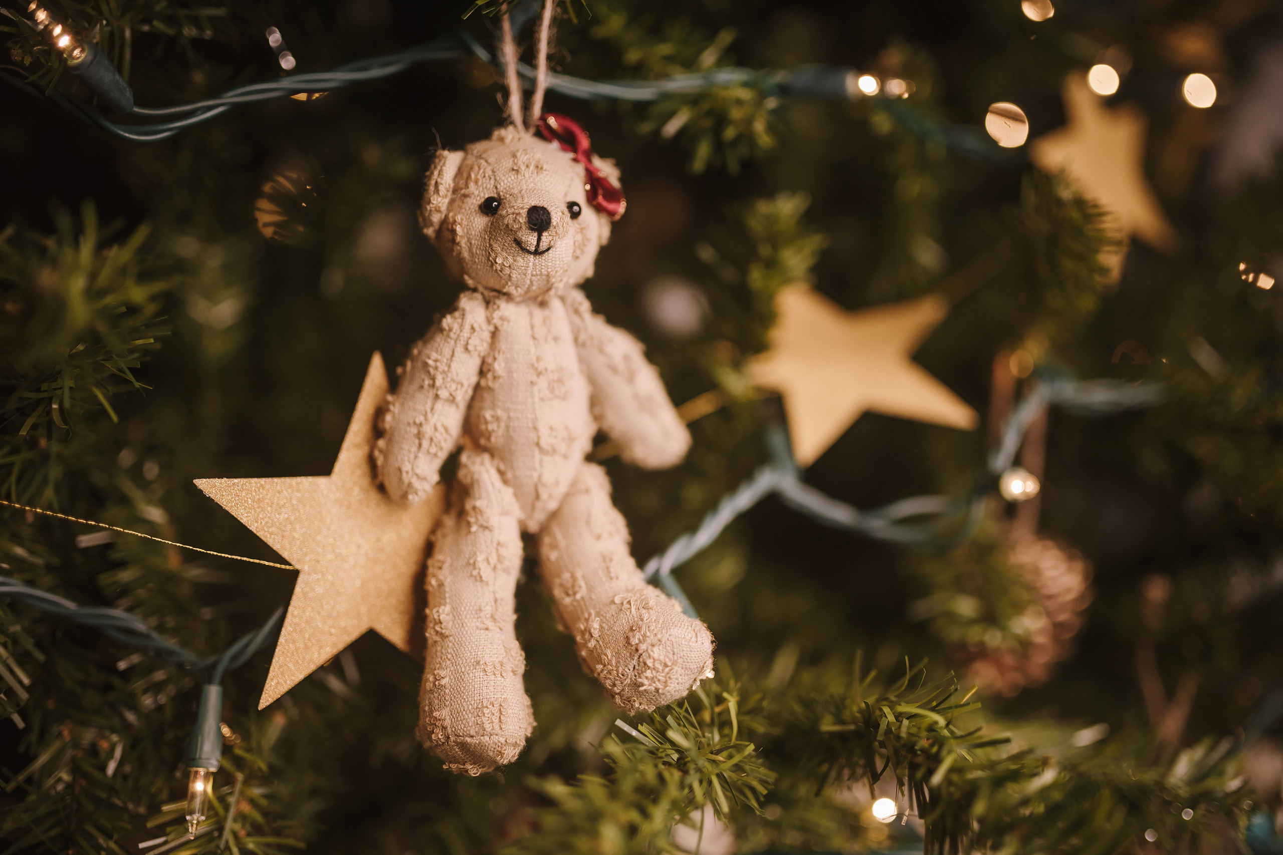 12042021 Christmas Photoshoot 8. Wedding family event photographer in Chicago Nick Yushevich