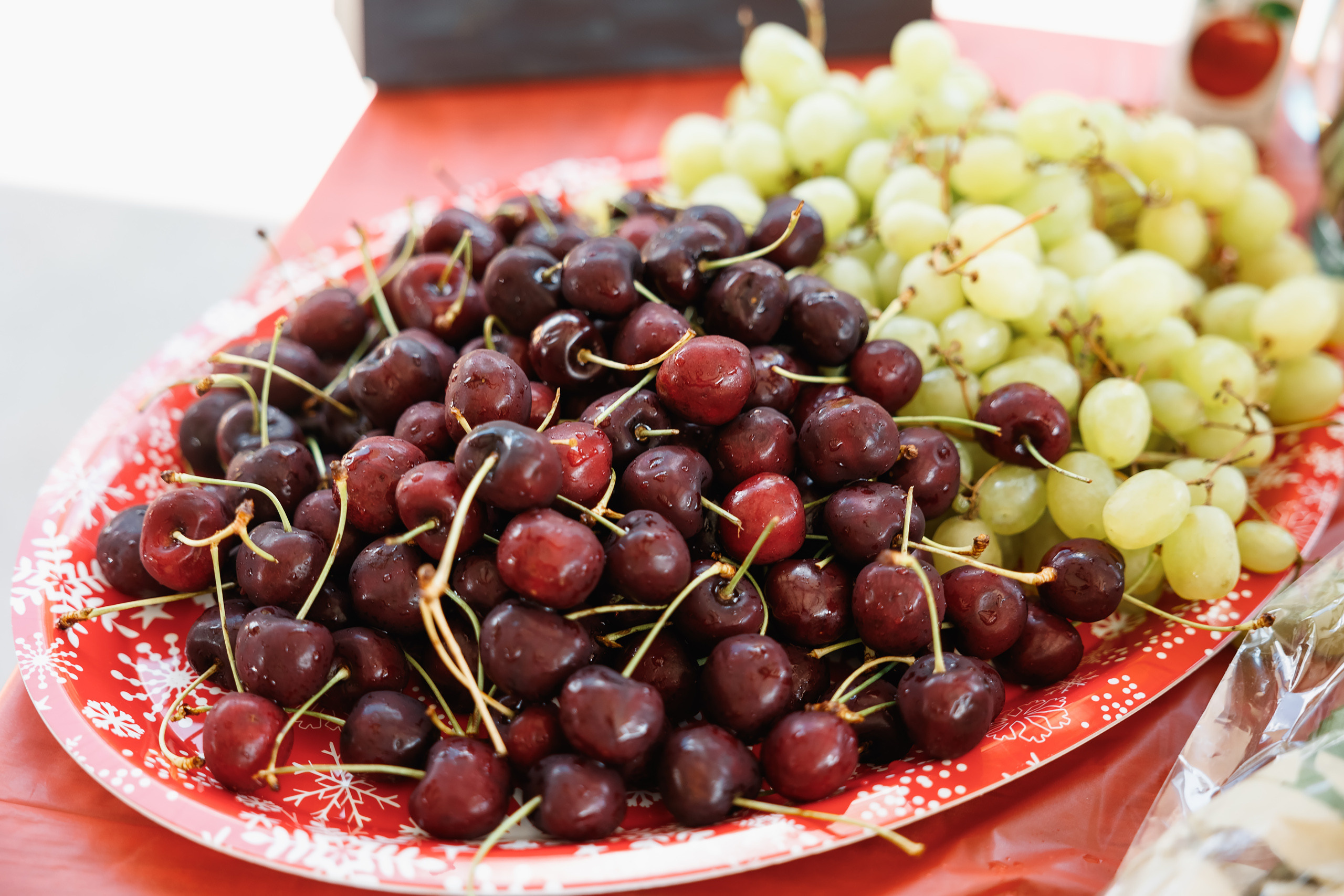 08.22.2021 Birthday photoshoot. Wedding family event photographer in Chicago Nick Yushevich