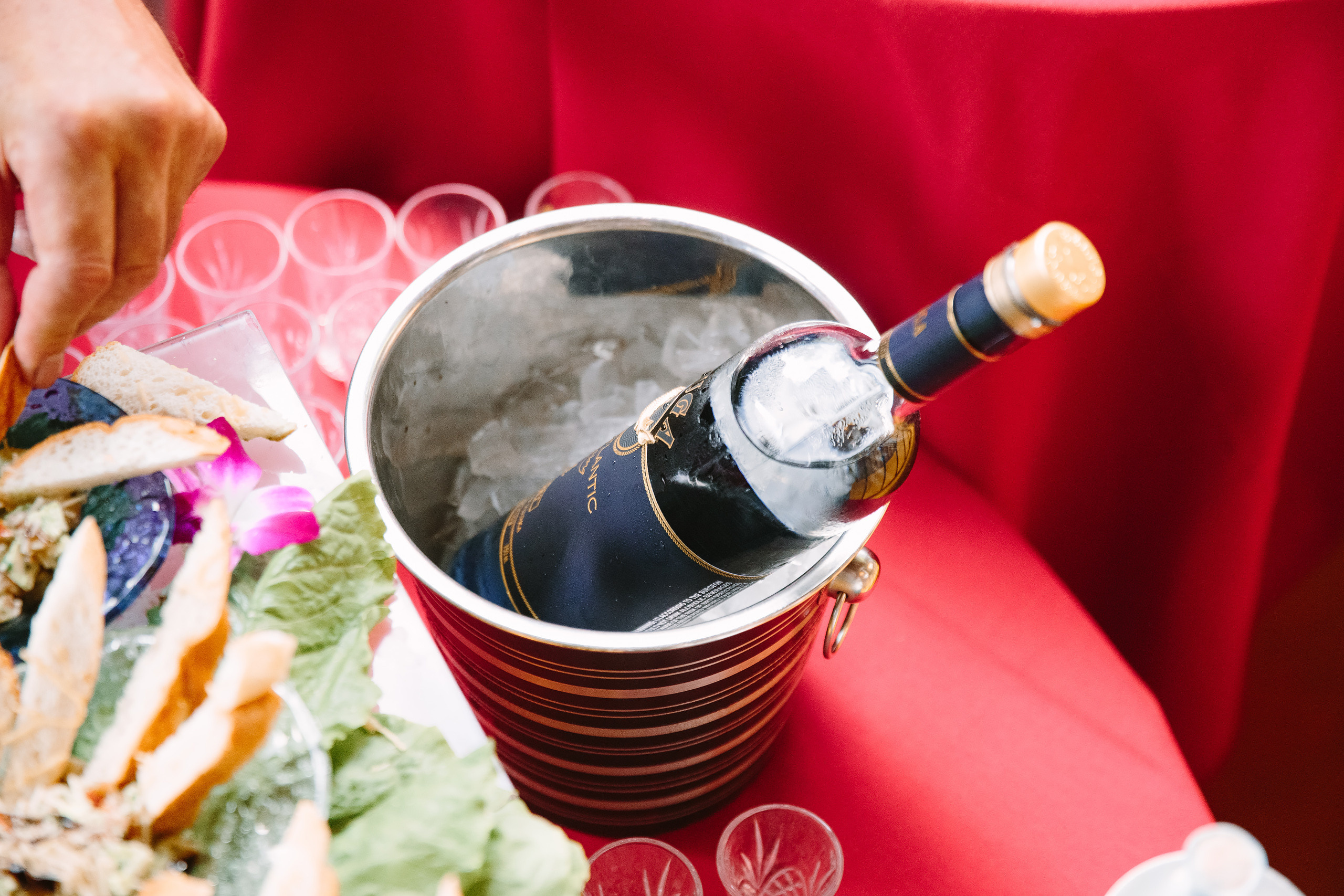 08.03.2019 Wedding. Wedding family event photographer in Chicago Nick Yushevich