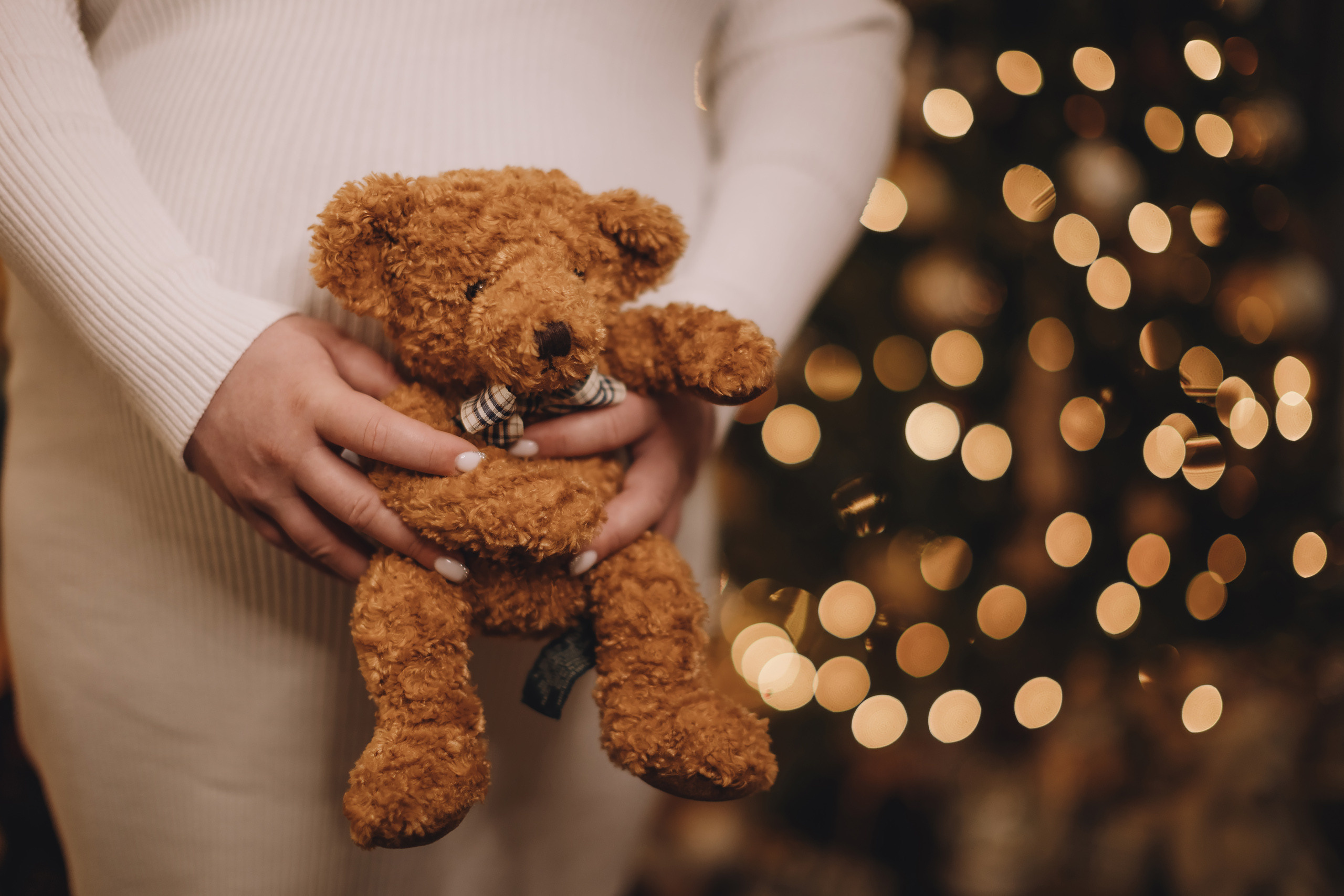 12122021 Christmas Photoshoot 13. Wedding family event photographer in Chicago Nick Yushevich