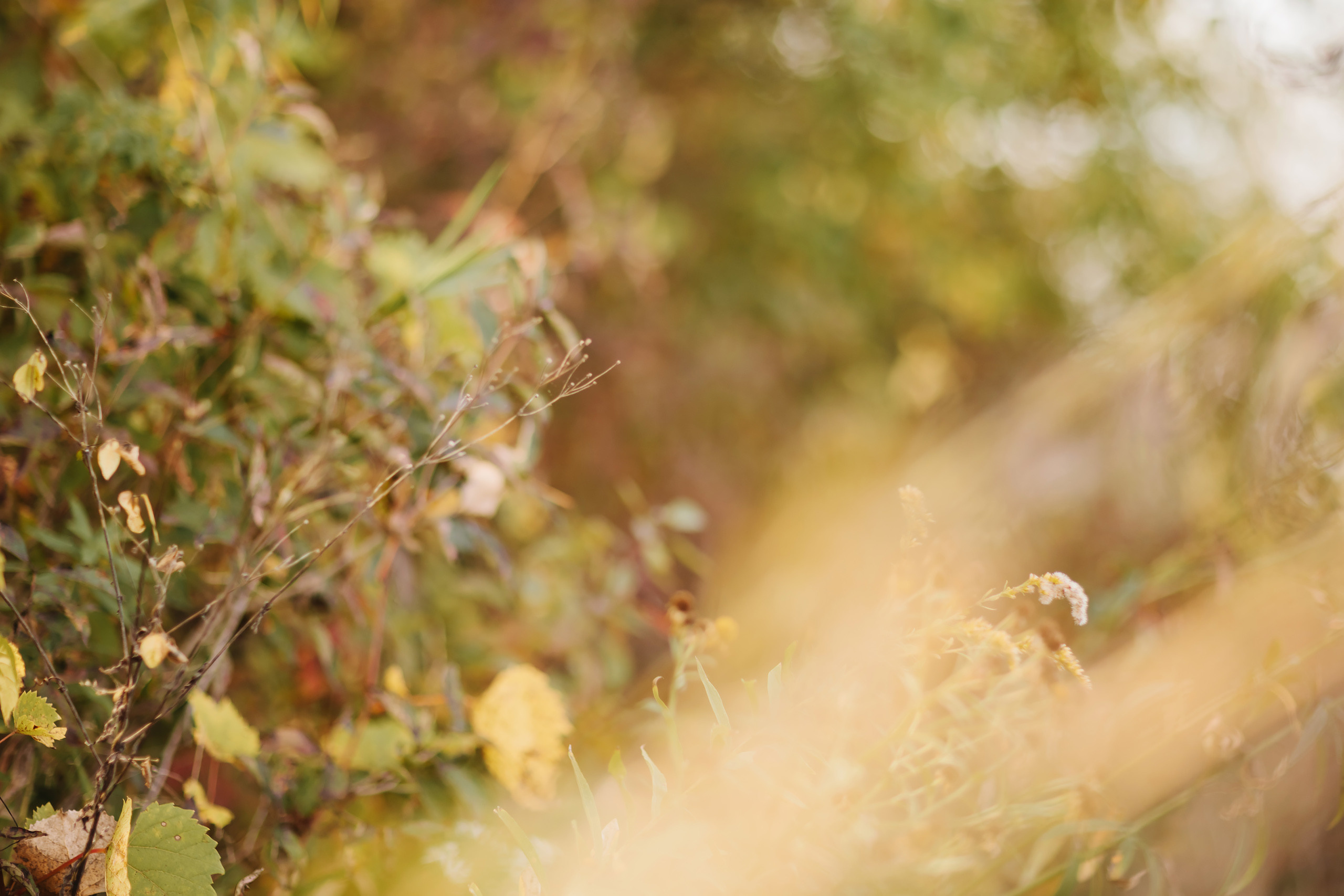 10.02.2021 Family photoshoot. Wedding family event photographer in Chicago Nick Yushevich