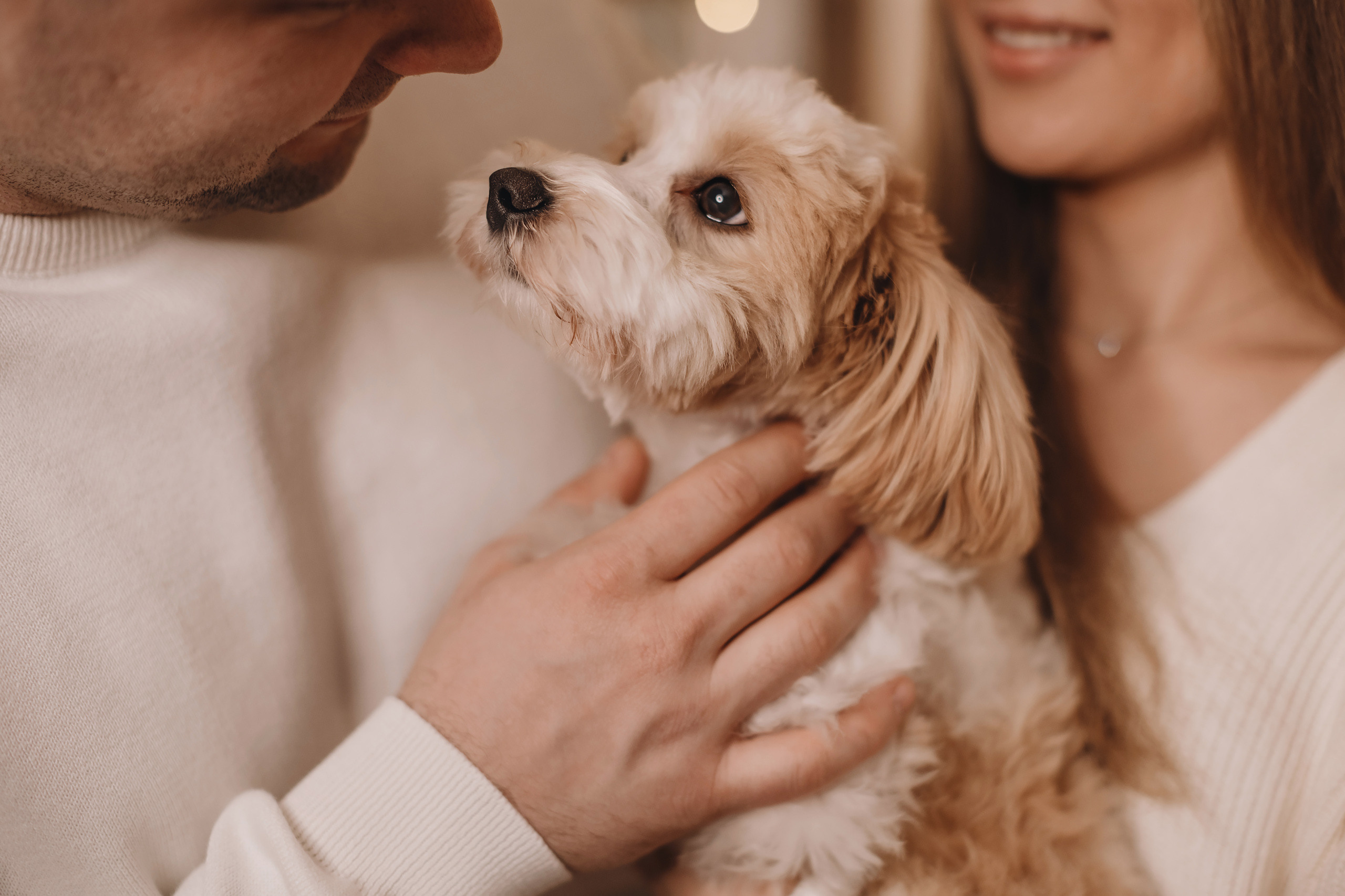 12142021 Christmas Photoshoot 14. Wedding family event photographer in Chicago Nick Yushevich