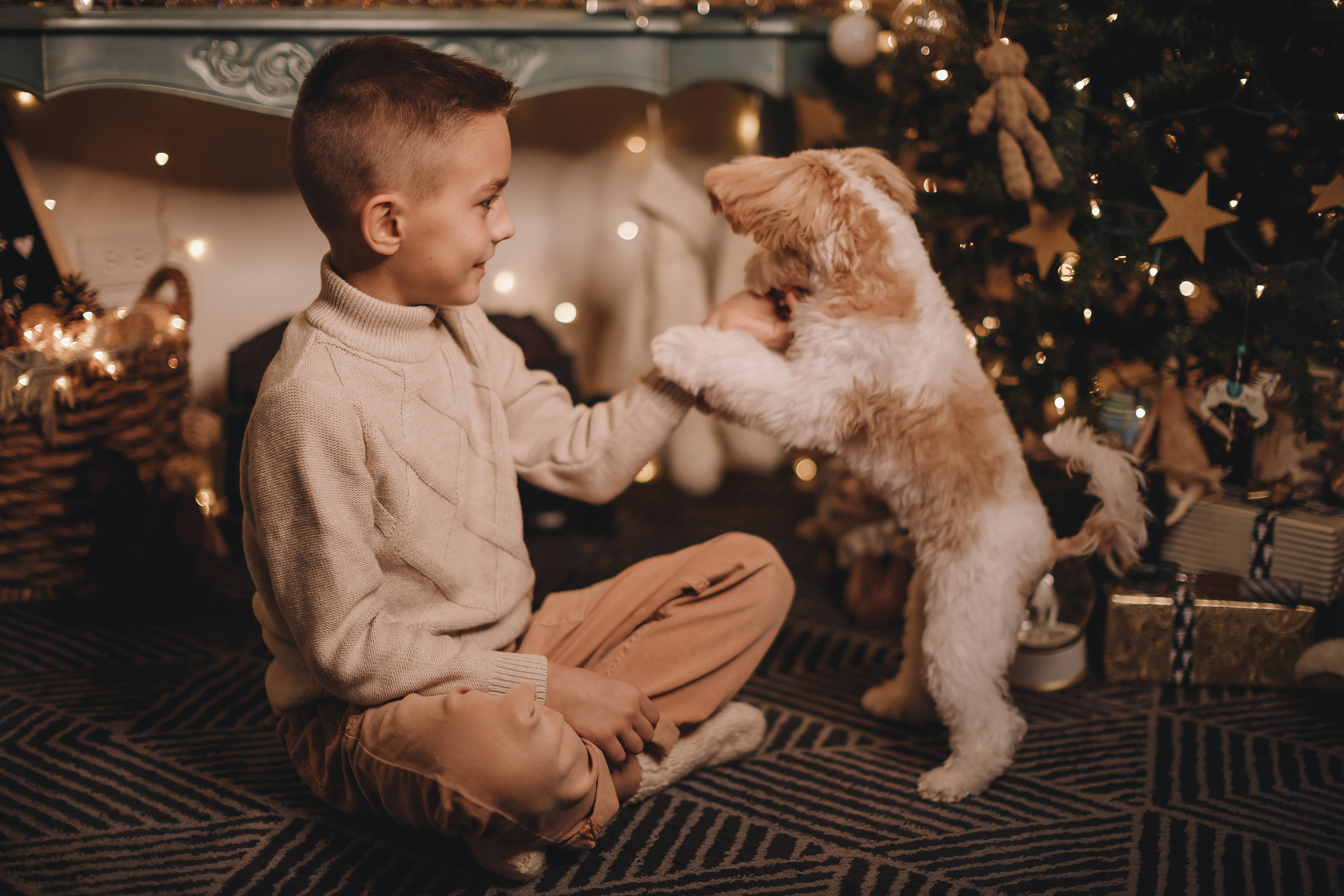 12142021 Christmas Photoshoot 14. Wedding family event photographer in Chicago Nick Yushevich